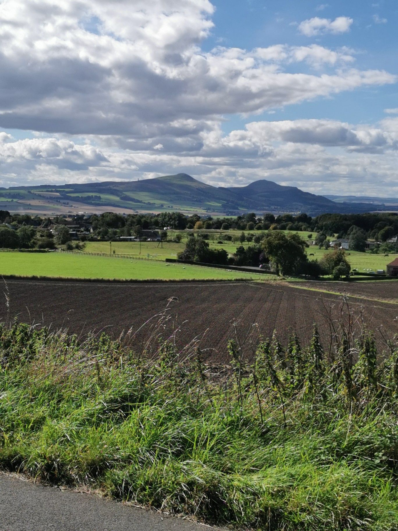 The Lomond hills. 