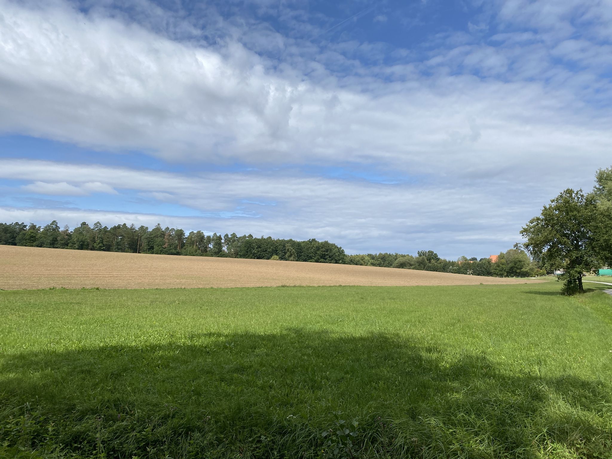 Manchmal meint man, die Sonne schafft es noch