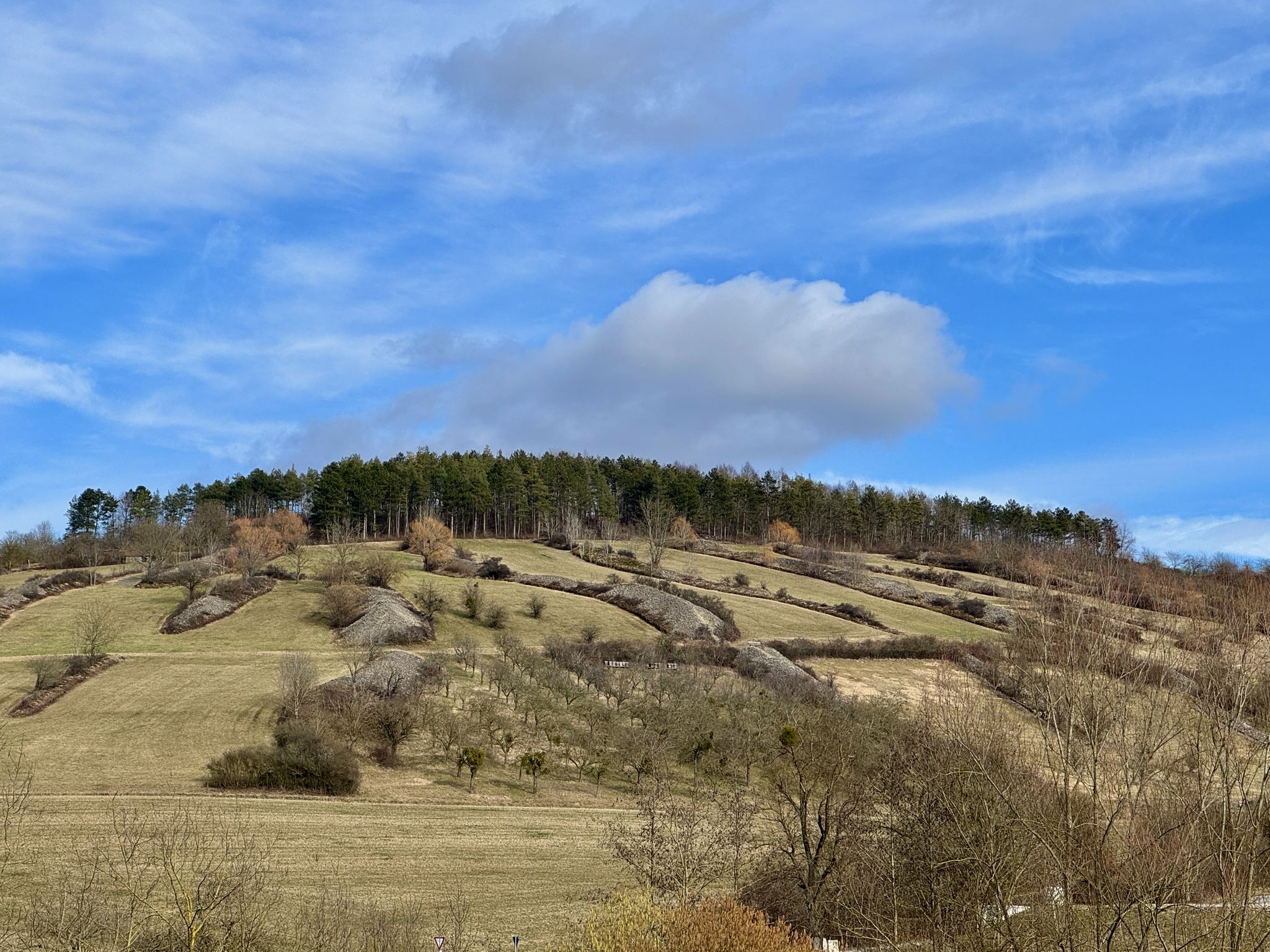 Blick über das Vorbachtal