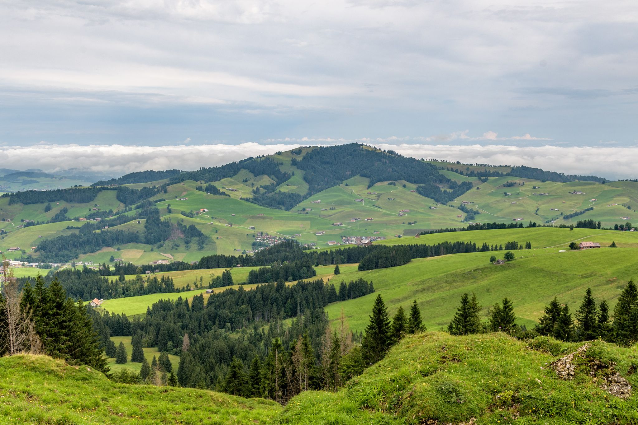 Landschaft bei Scheidegg (1)