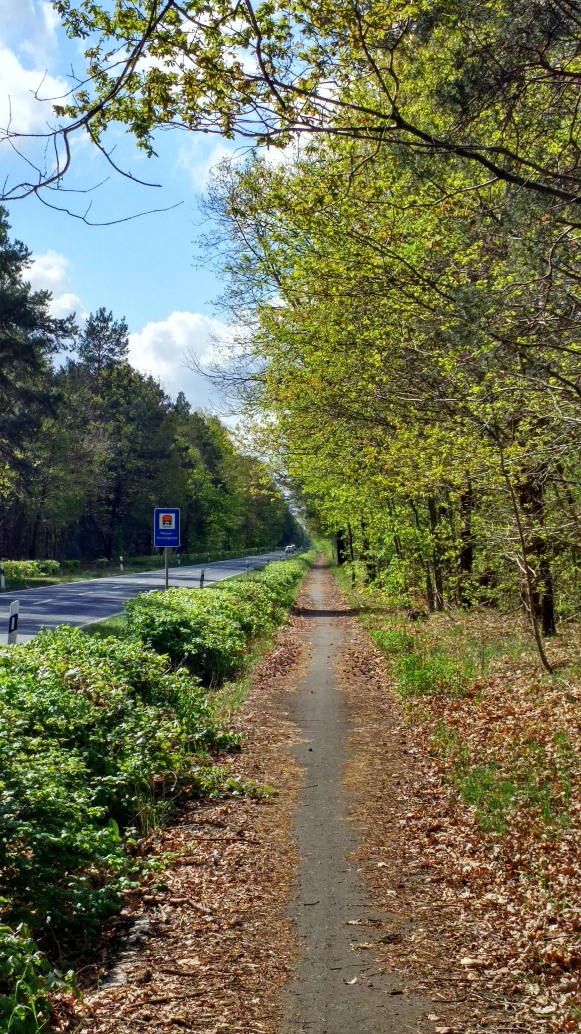 straßenbegleitender Radweg