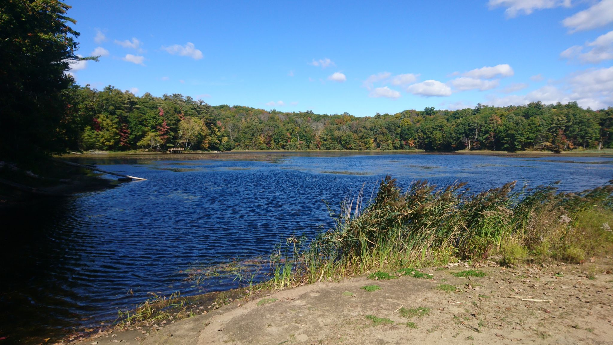 Sunny view of a calm lake bordered by green and autumn trees. - Moreau Lake – Lake Bonita loop from Moreau Lake State Park