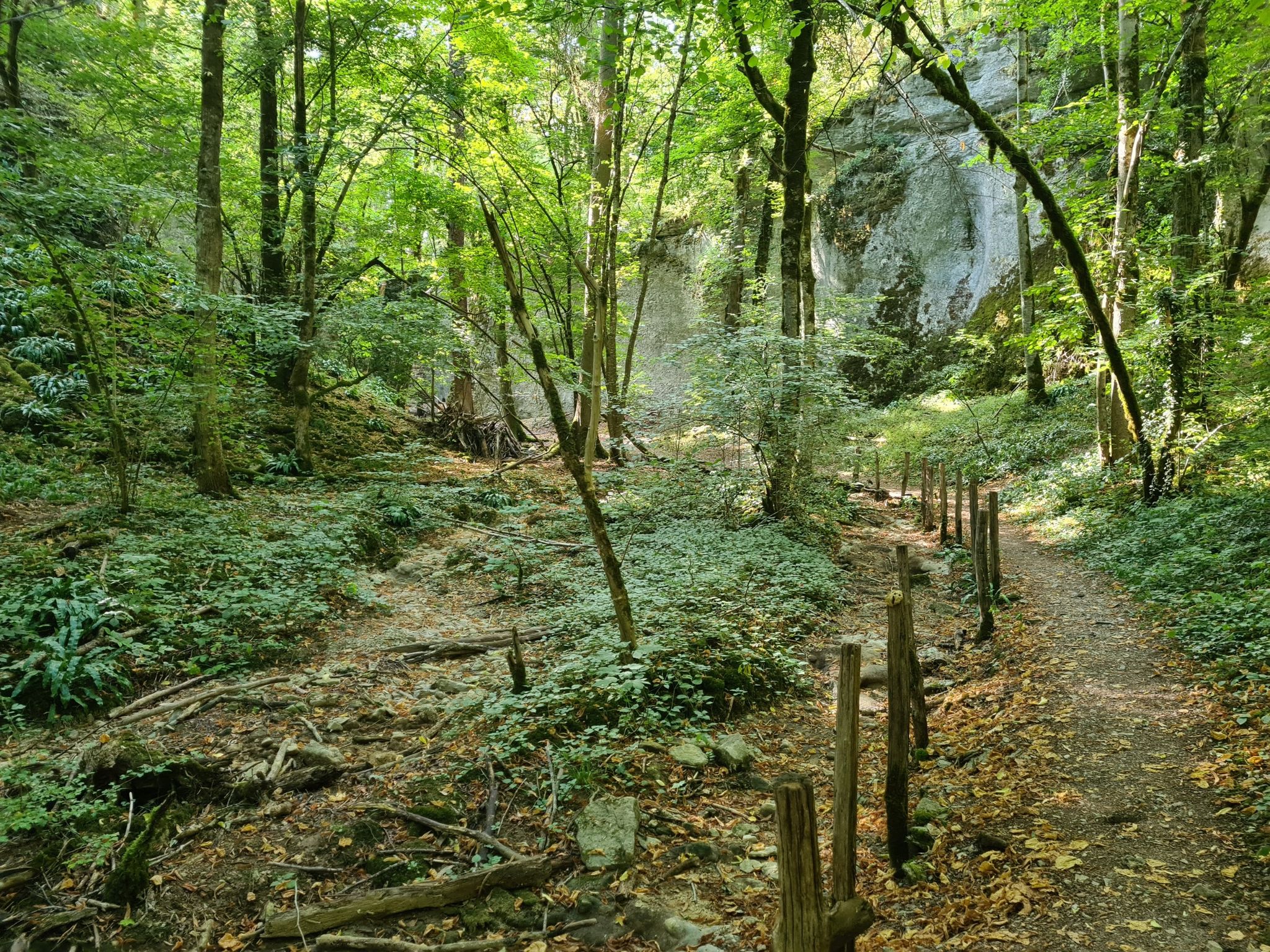 Gorges de la Vingeanne (trocken im Aug.)