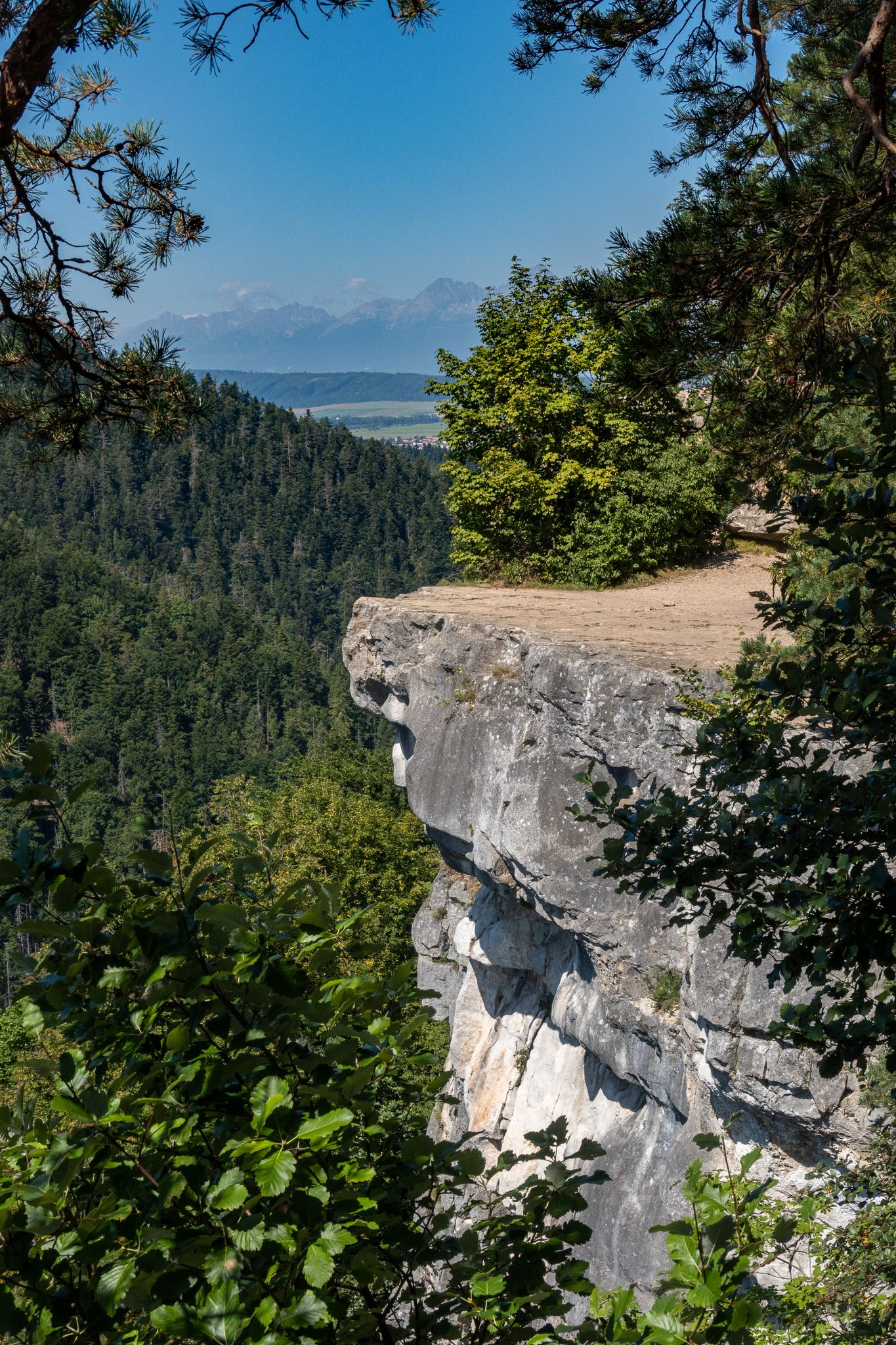 Tomašovský Ausblick