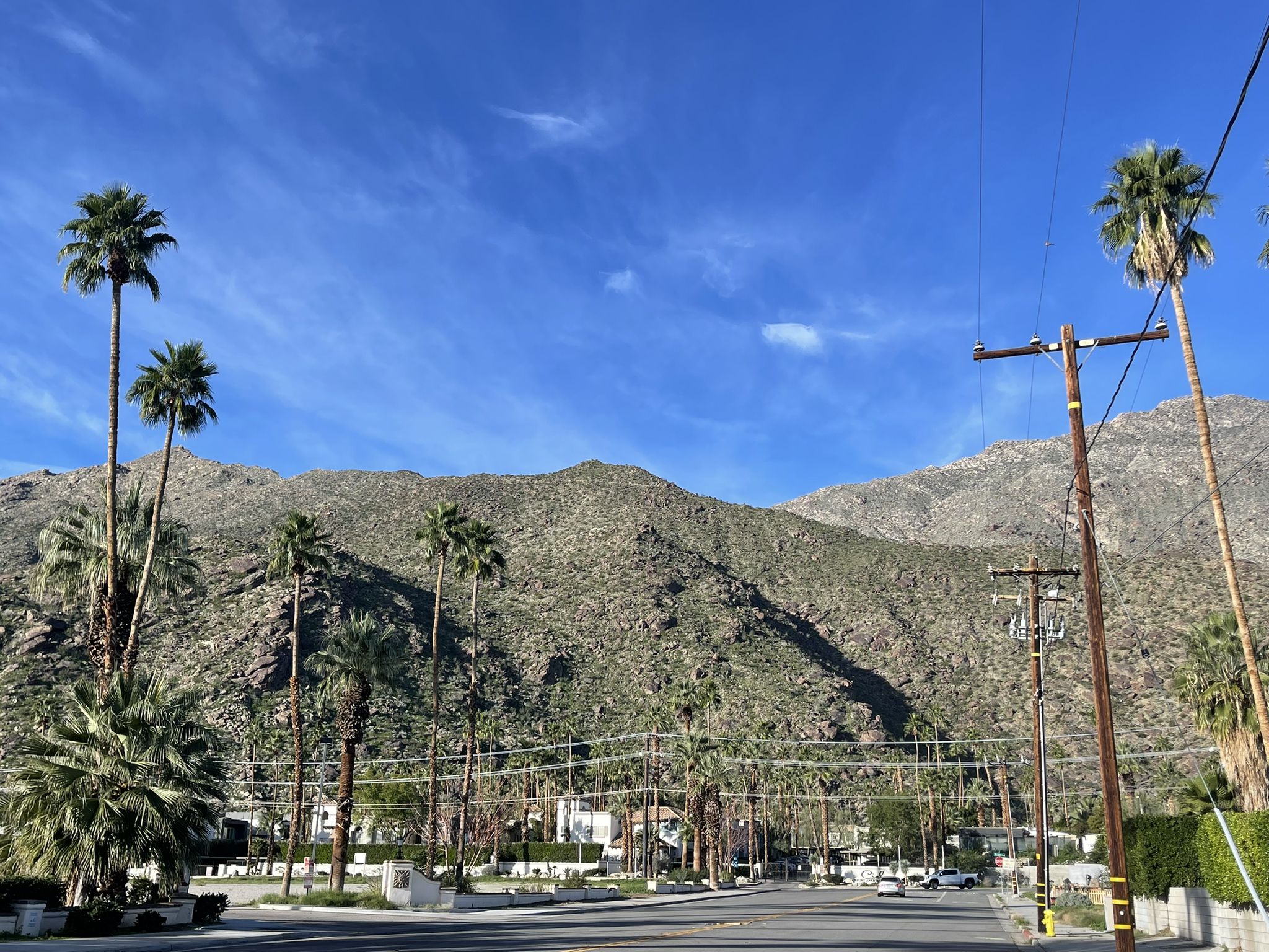 Desert mountains behind palm trees and a road on a clear, sunny day. - Green Palms loop via Palm Springs CV Link Bike Path