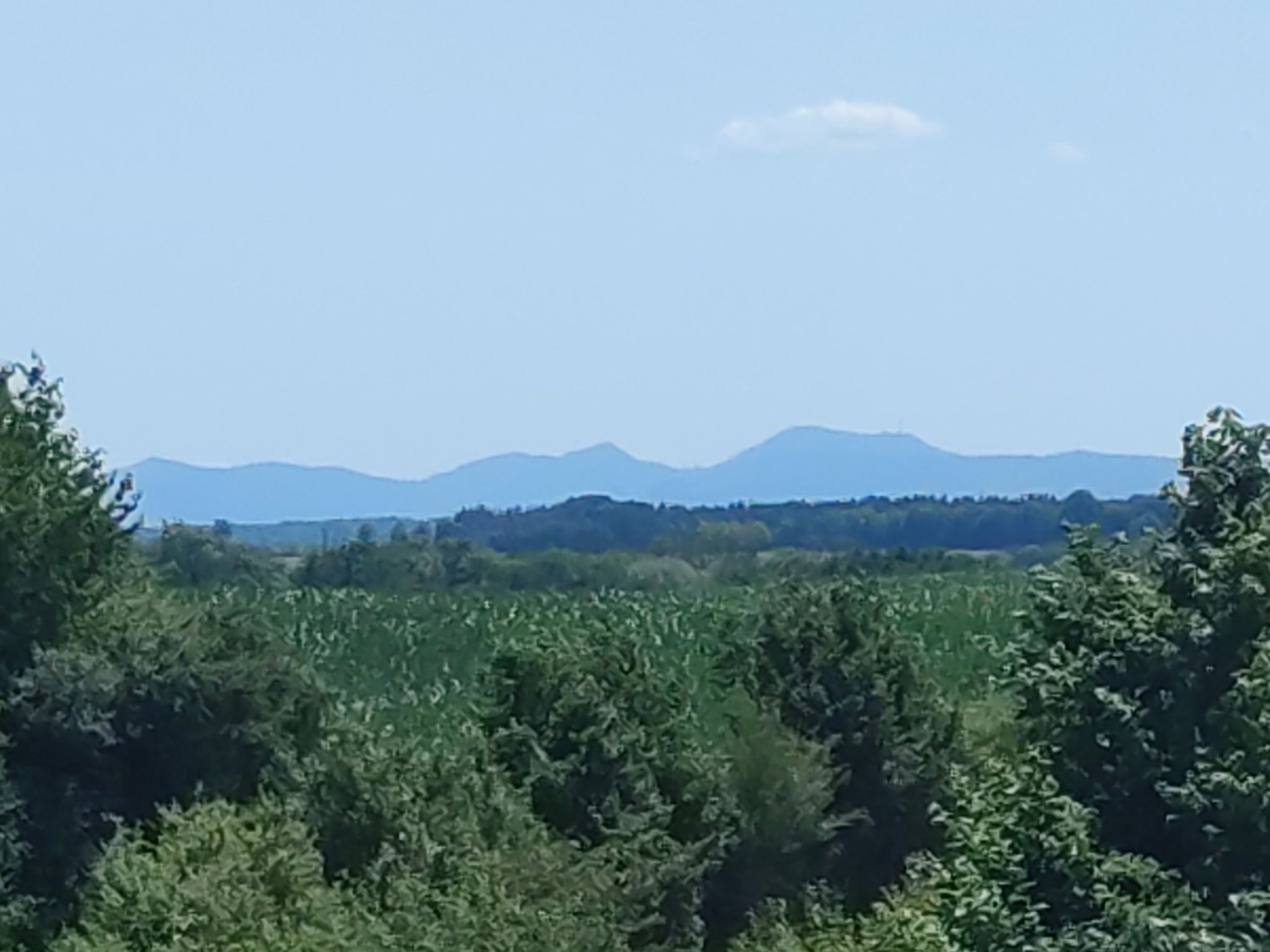 Vogesenblick