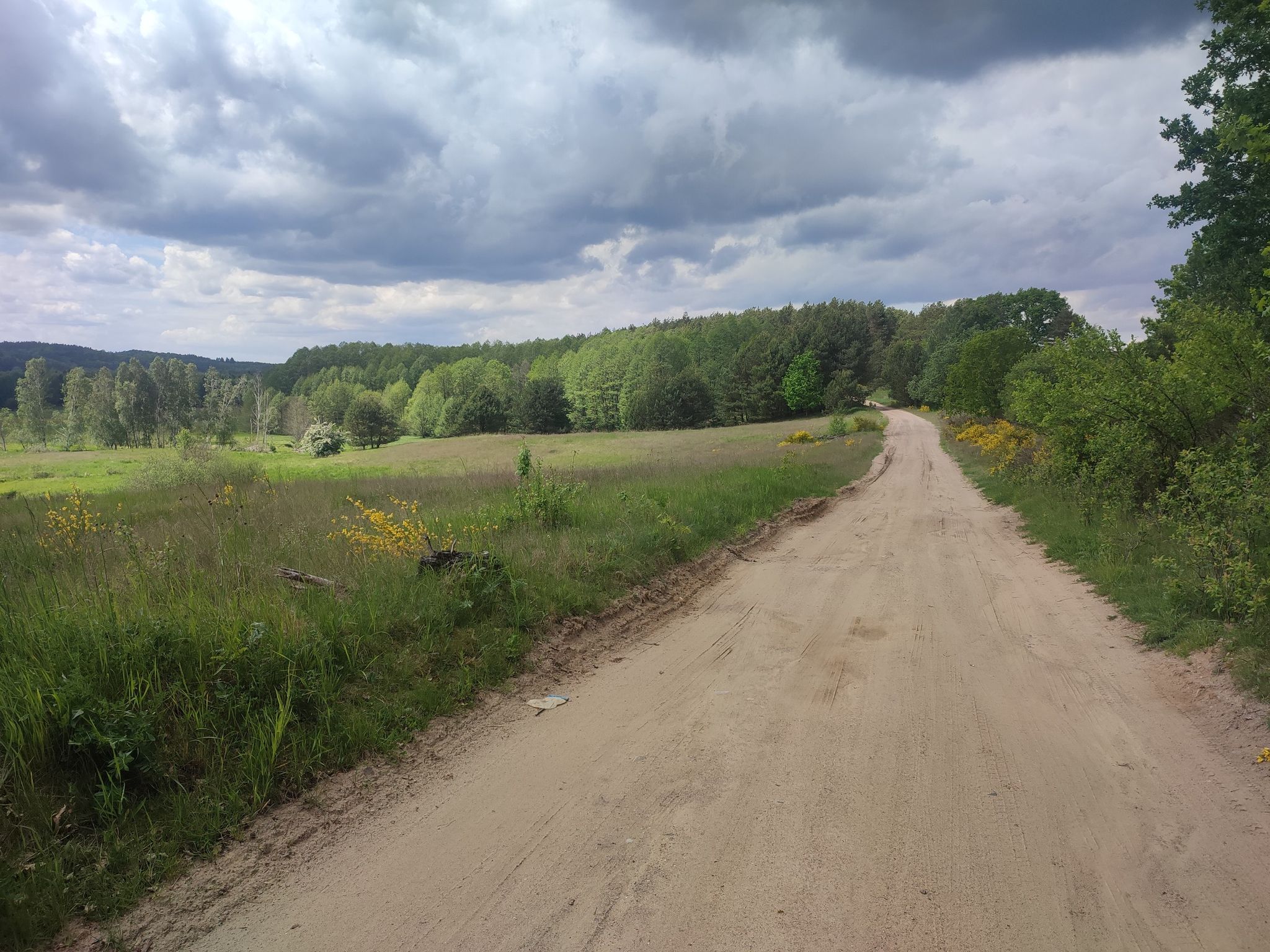 Waldweg und schöne Landschaft