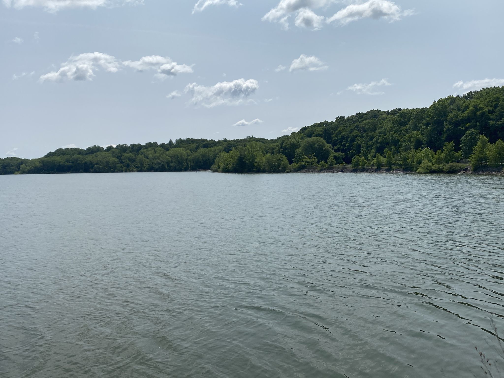 Calm lake surrounded by green forested hills under a cloudy sky. - Lake Tappan loop from Old Tappan