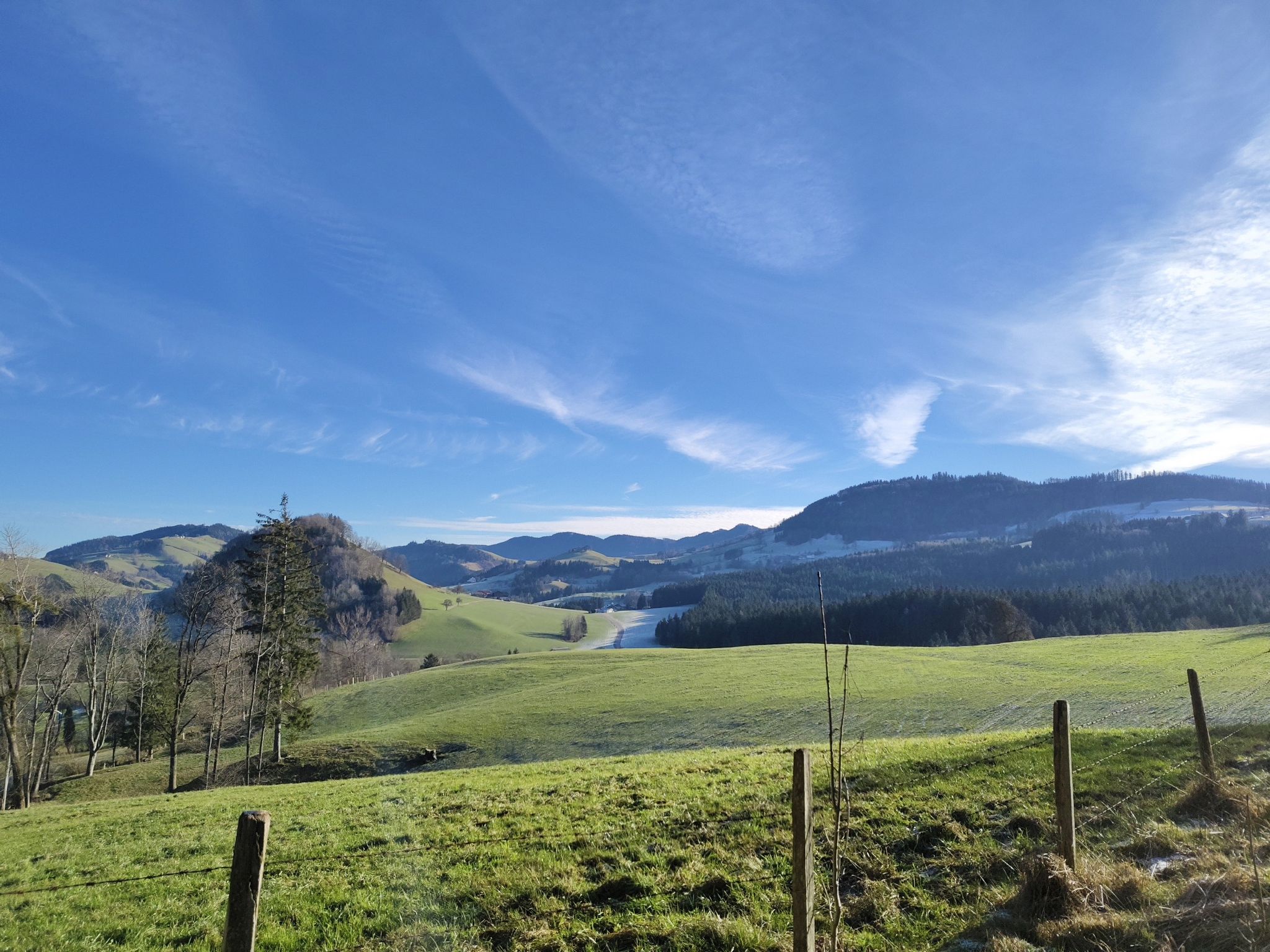 Freithofberg..