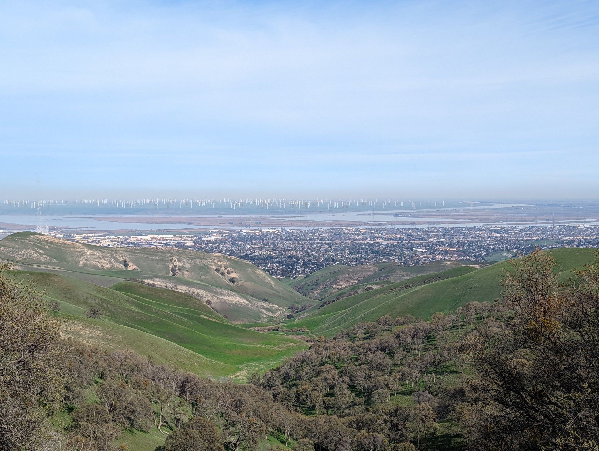 Green hills overlook a distant city and bay under a clear sky. - Black Diamond Mines Ridge Trail Loop