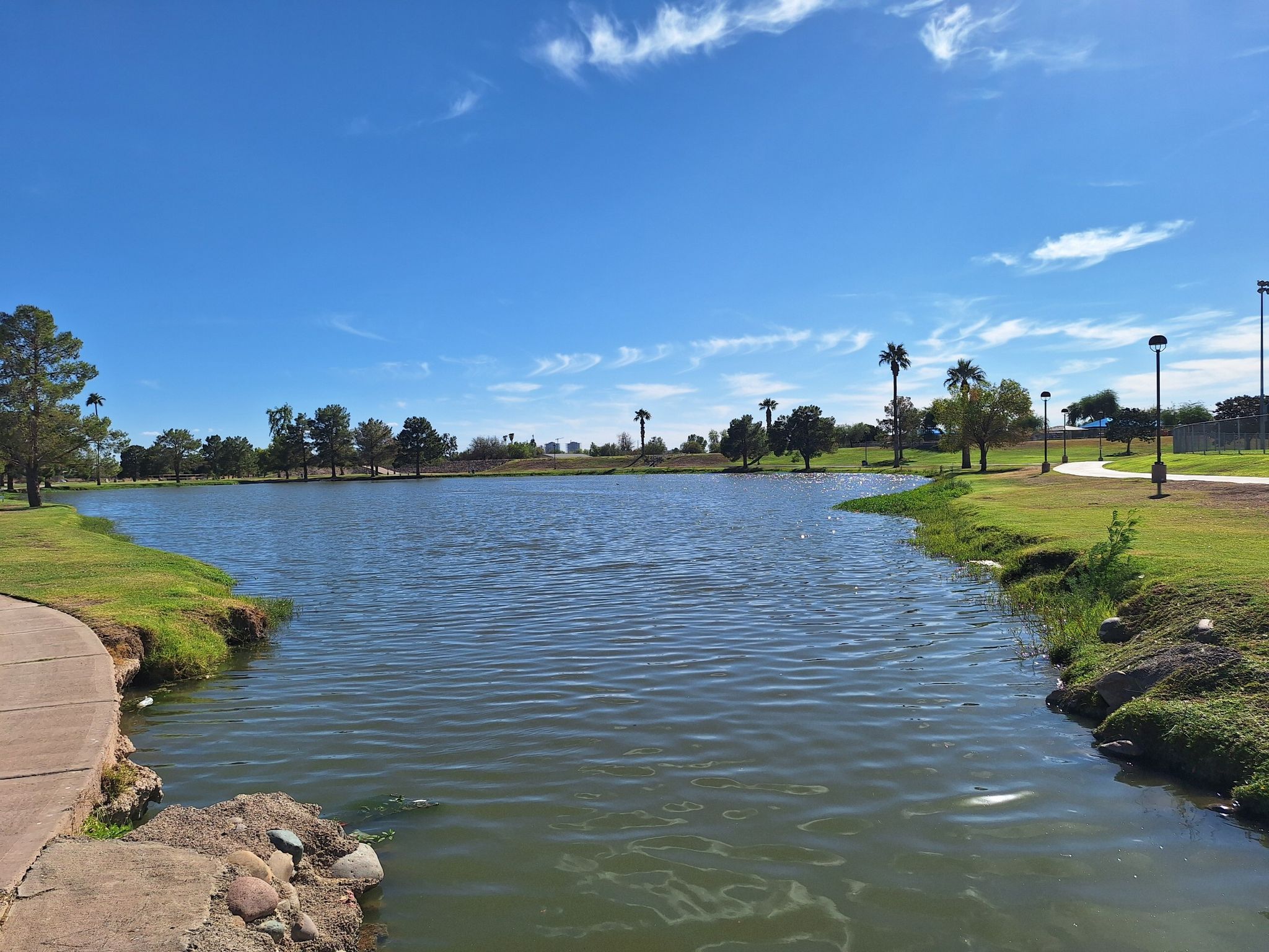A calm lake with green banks and trees under a bright blue sky. - Indian Bend Wash Greenbelt loop from Desert Botanical Garden Community Garden