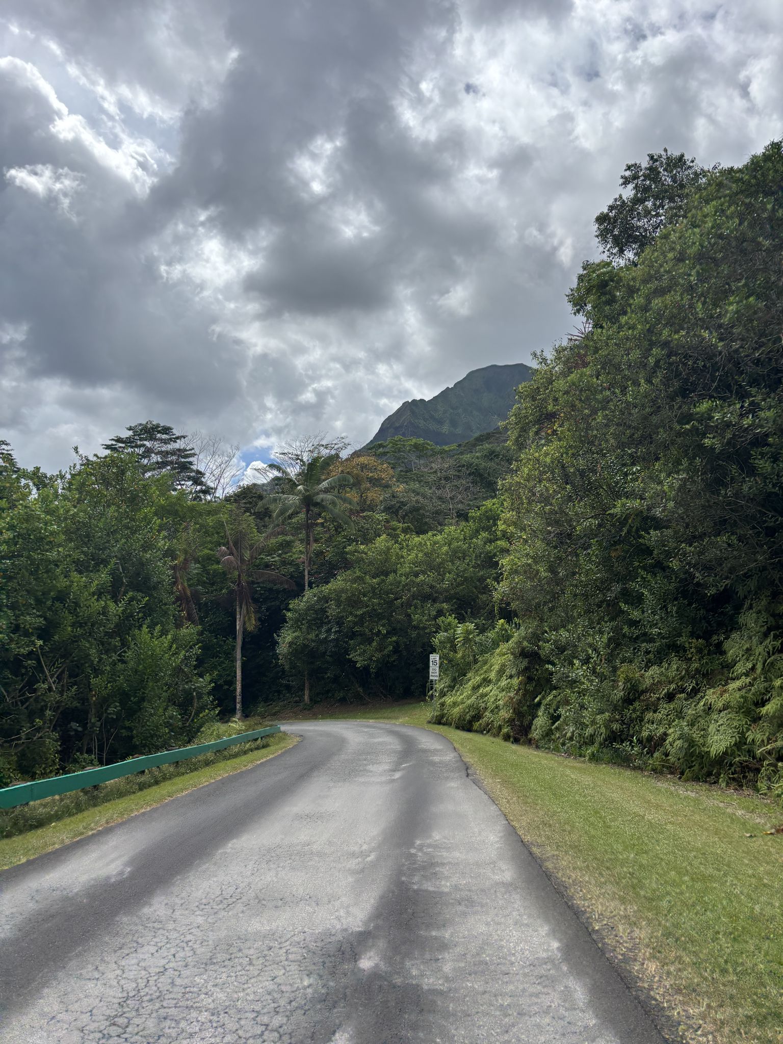 Overcast road curves through dense forest with a green guardrail. - Scenic Park Road loop from Windward Community College