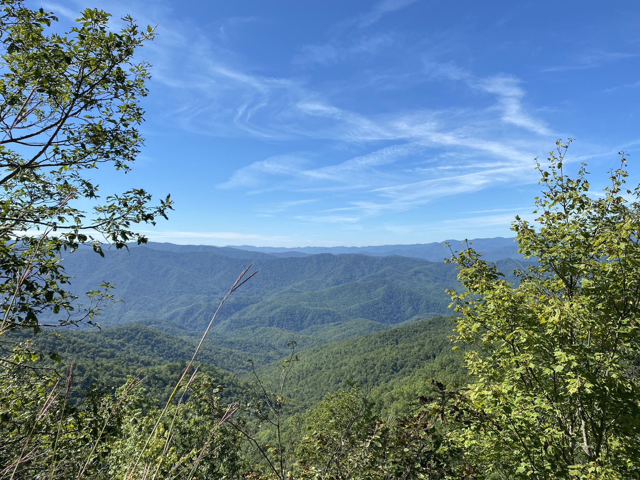 Rolling green mountains under a bright blue sky, framed by tree branches. - Shuckstack Fire Lookout Tower – Lakeshore Trail loop from Fontana Dam