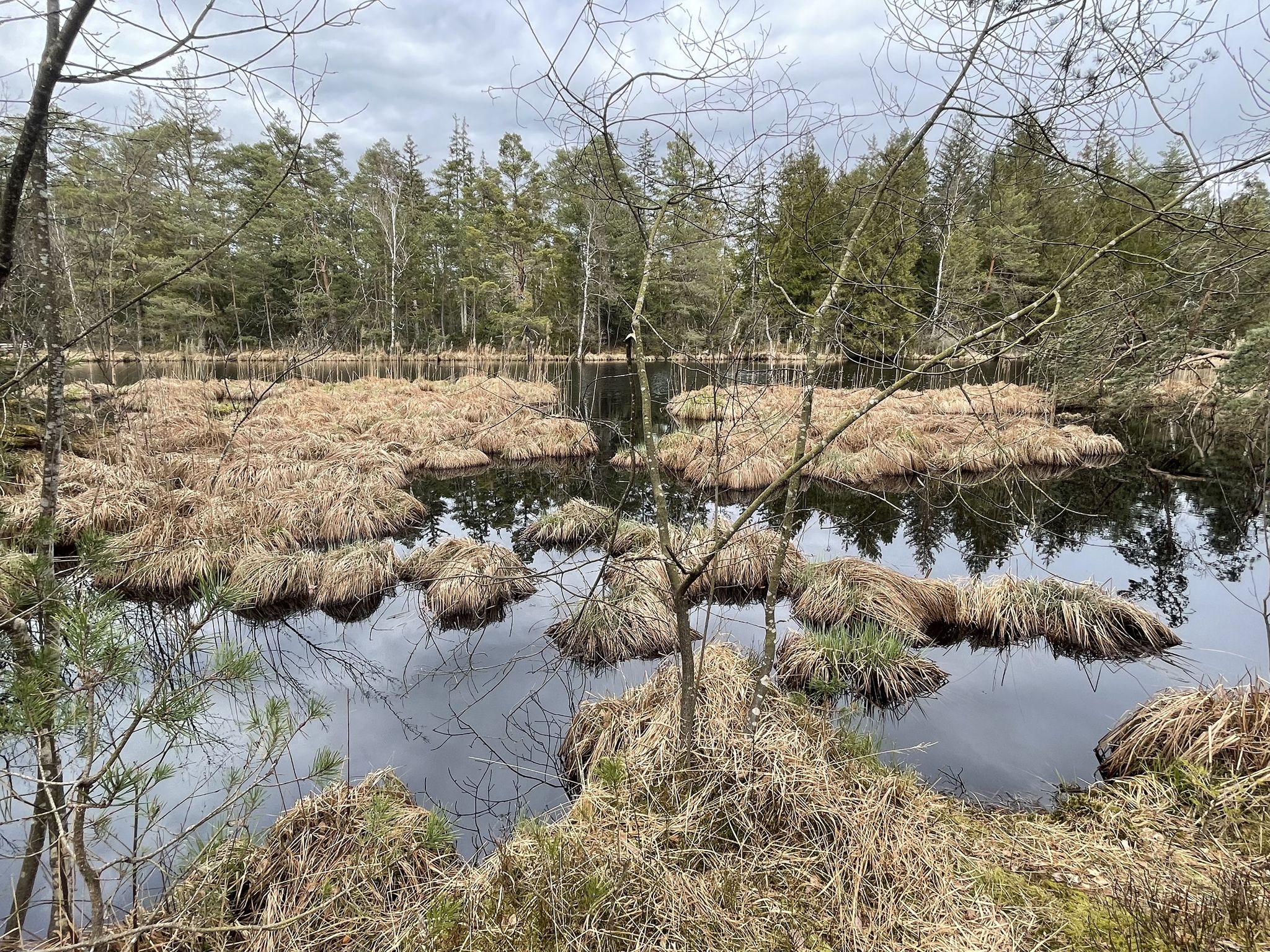 Entenweiher