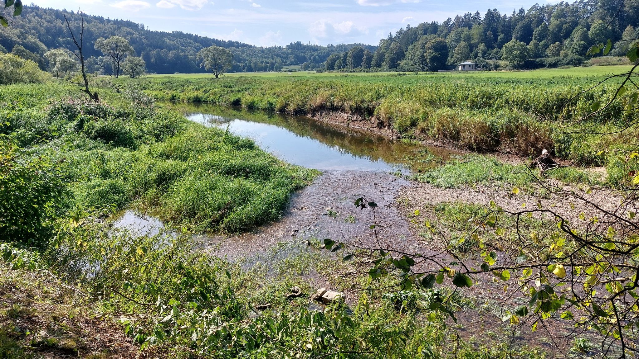 Versickerungsstelle der Donau