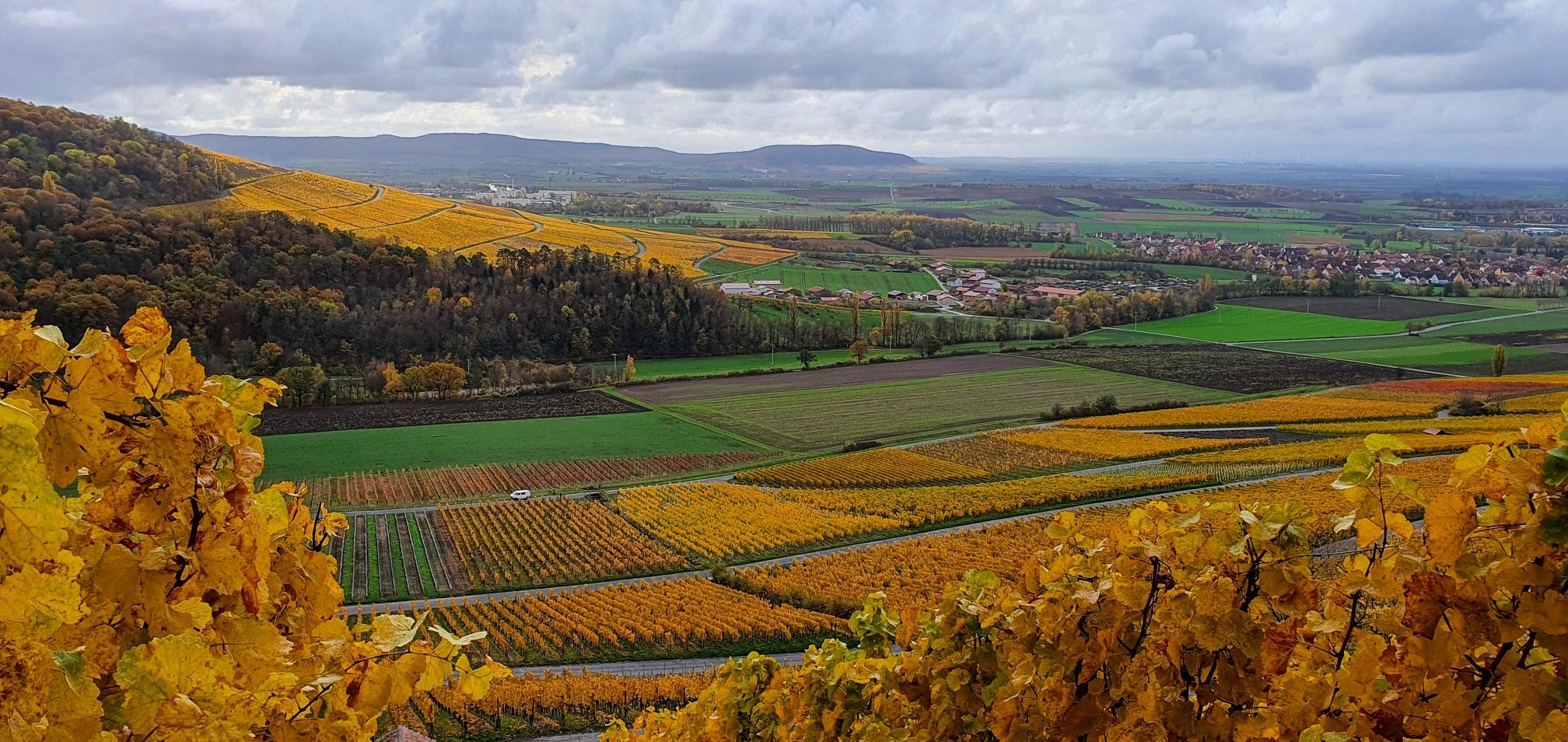 Weinberge Iphofen