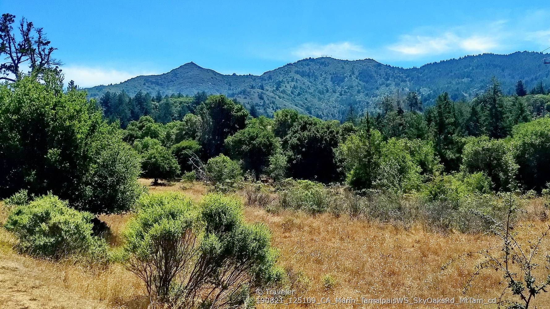 Expansive view of a dry grassy field leading to green trees and mountains. - Corte Madera Pathway – Phoenix Lake loop from Larkspur