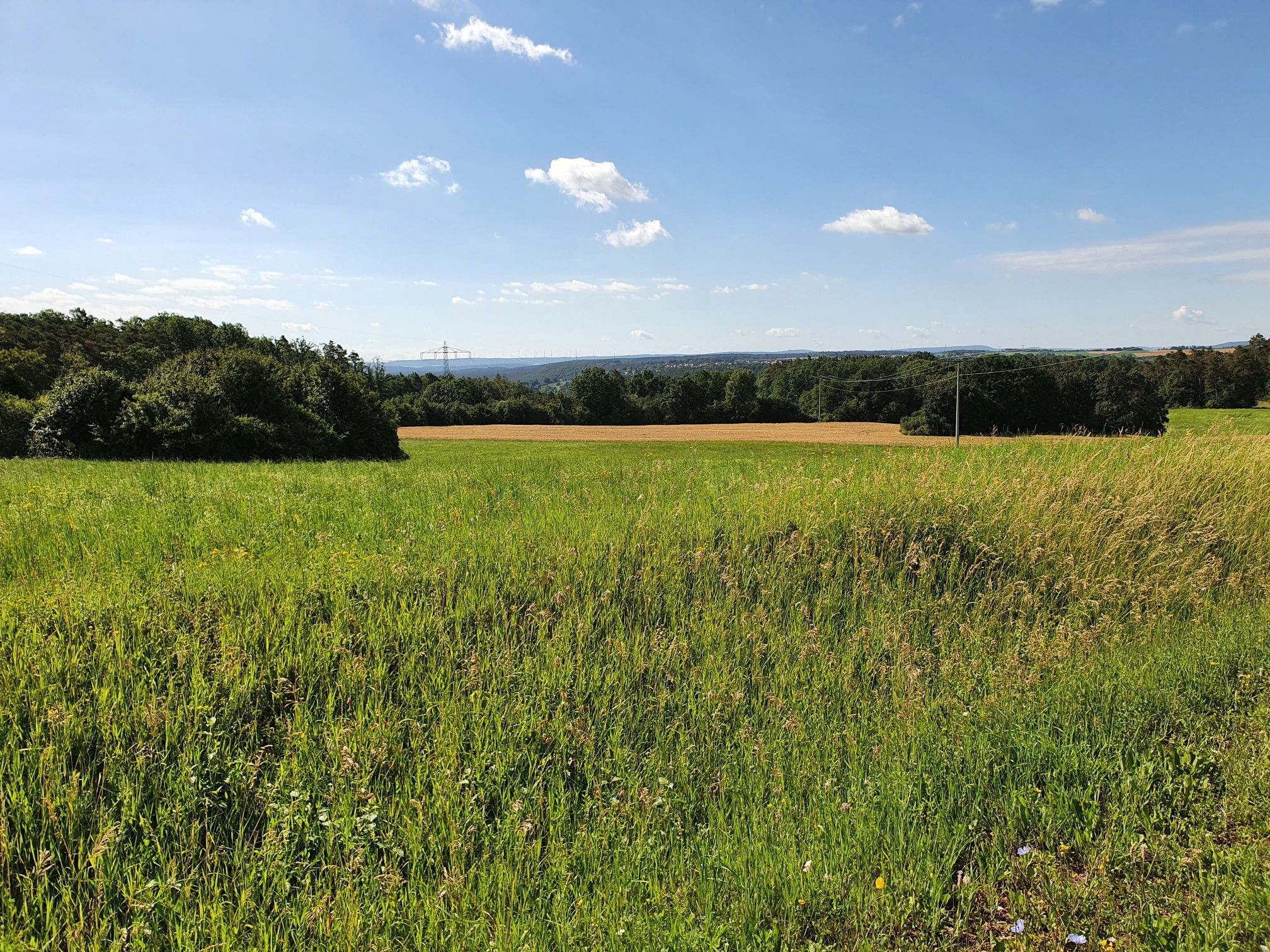 Weitblick Richtung Spalt