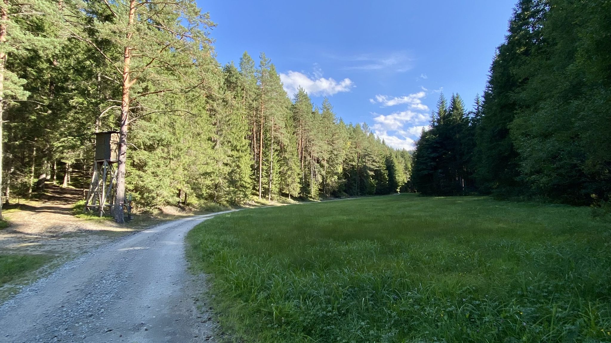 Granittrail am Kuckucksbach