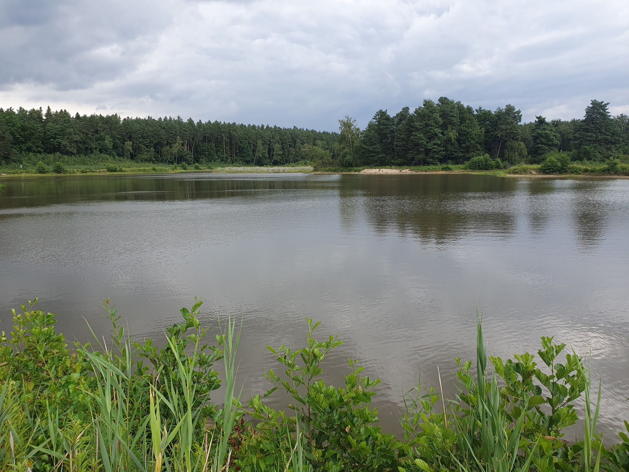 Miękisz Nowy