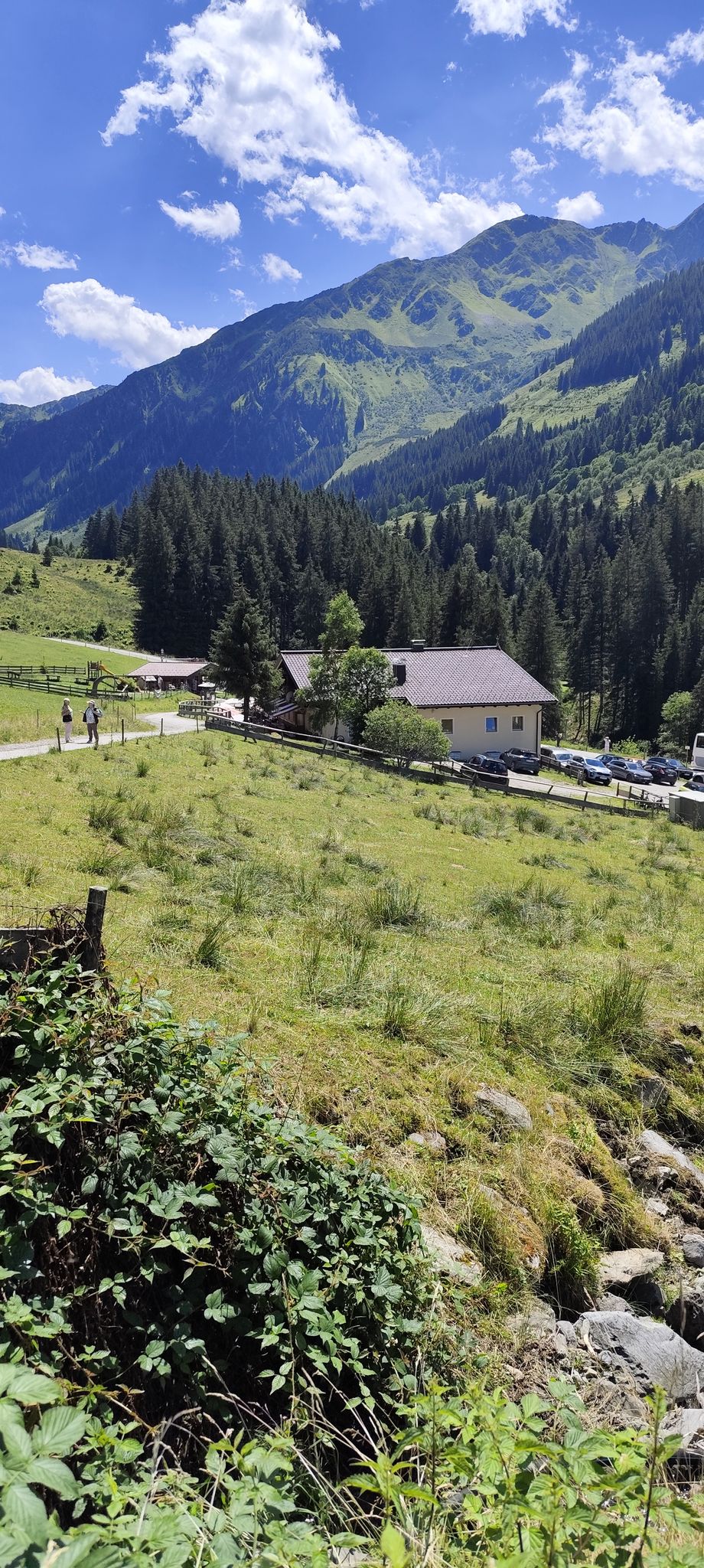 Schönanger Alm 