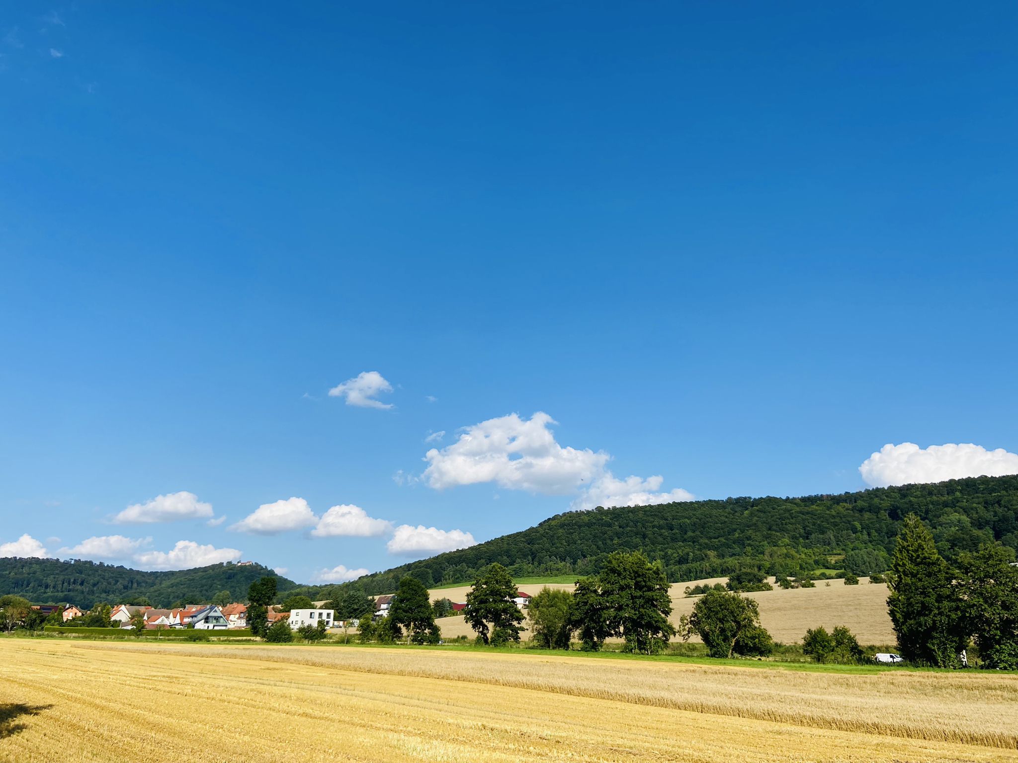 Blick auf Burg Gleichenstein