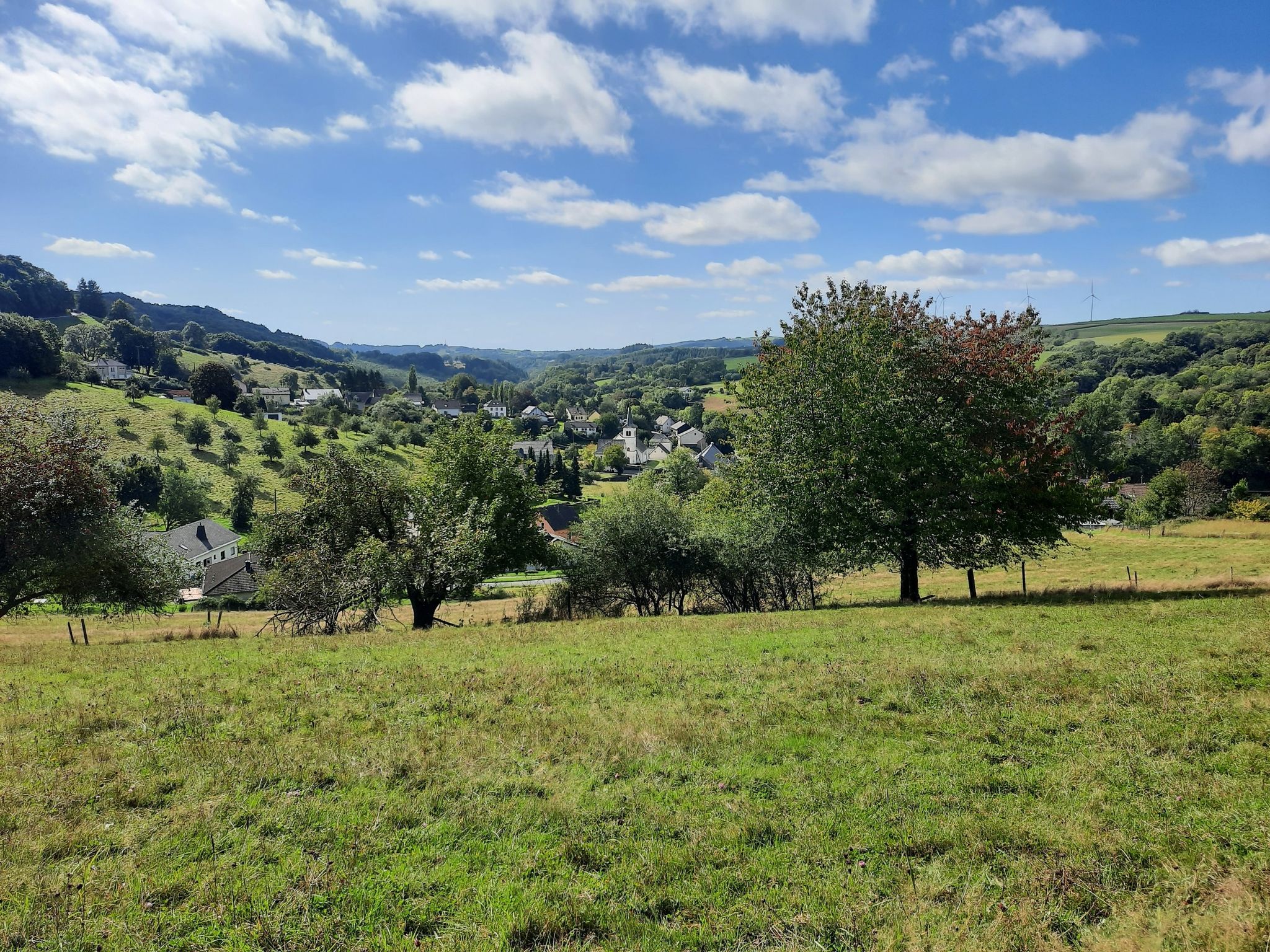 Utscheid
