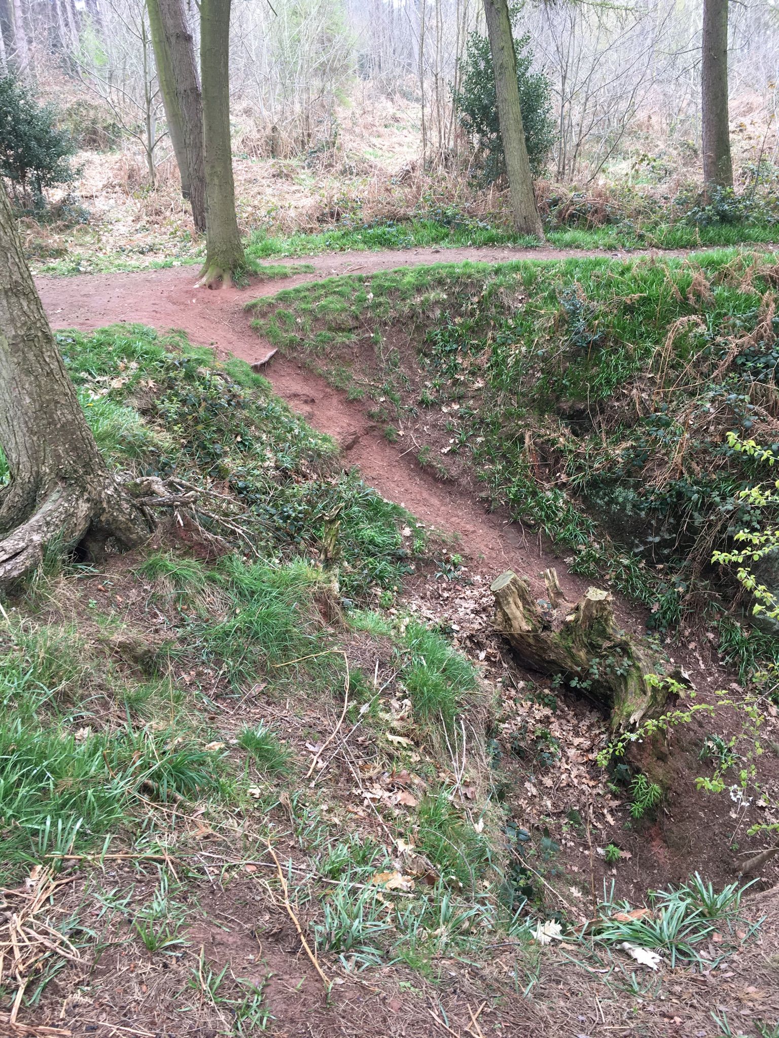 Great mountain bike trails