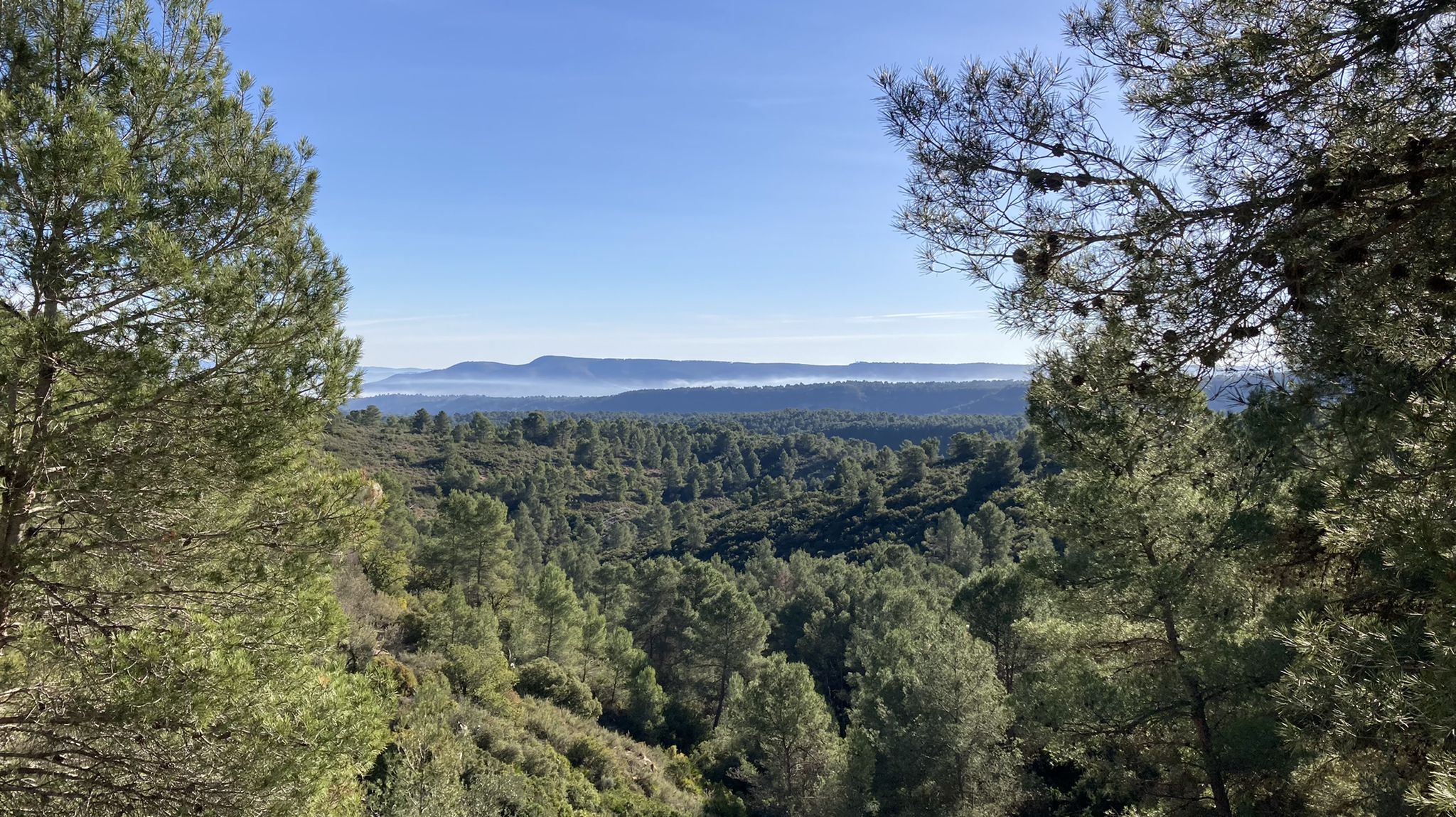 La Annera