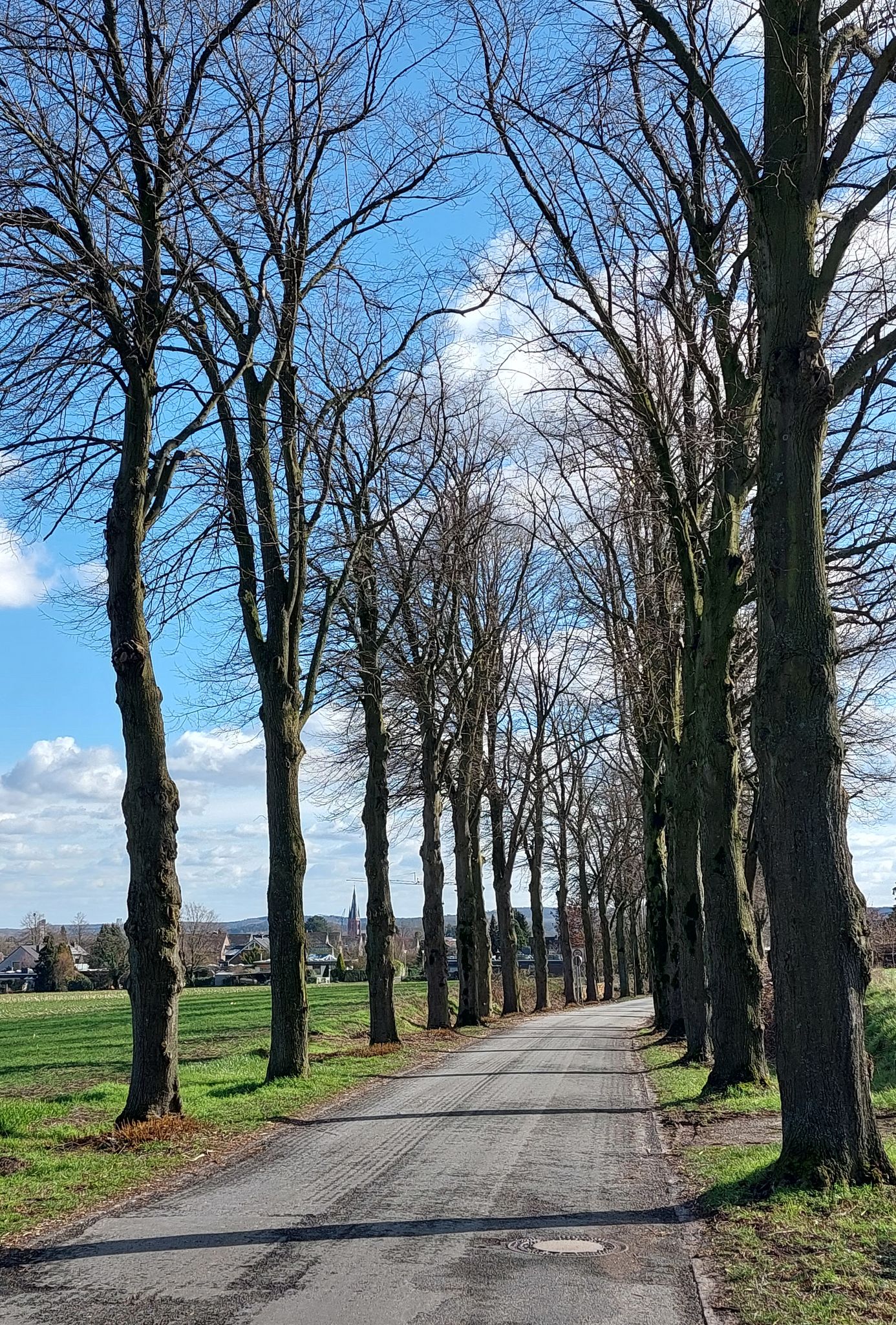 Allee nach Haltern