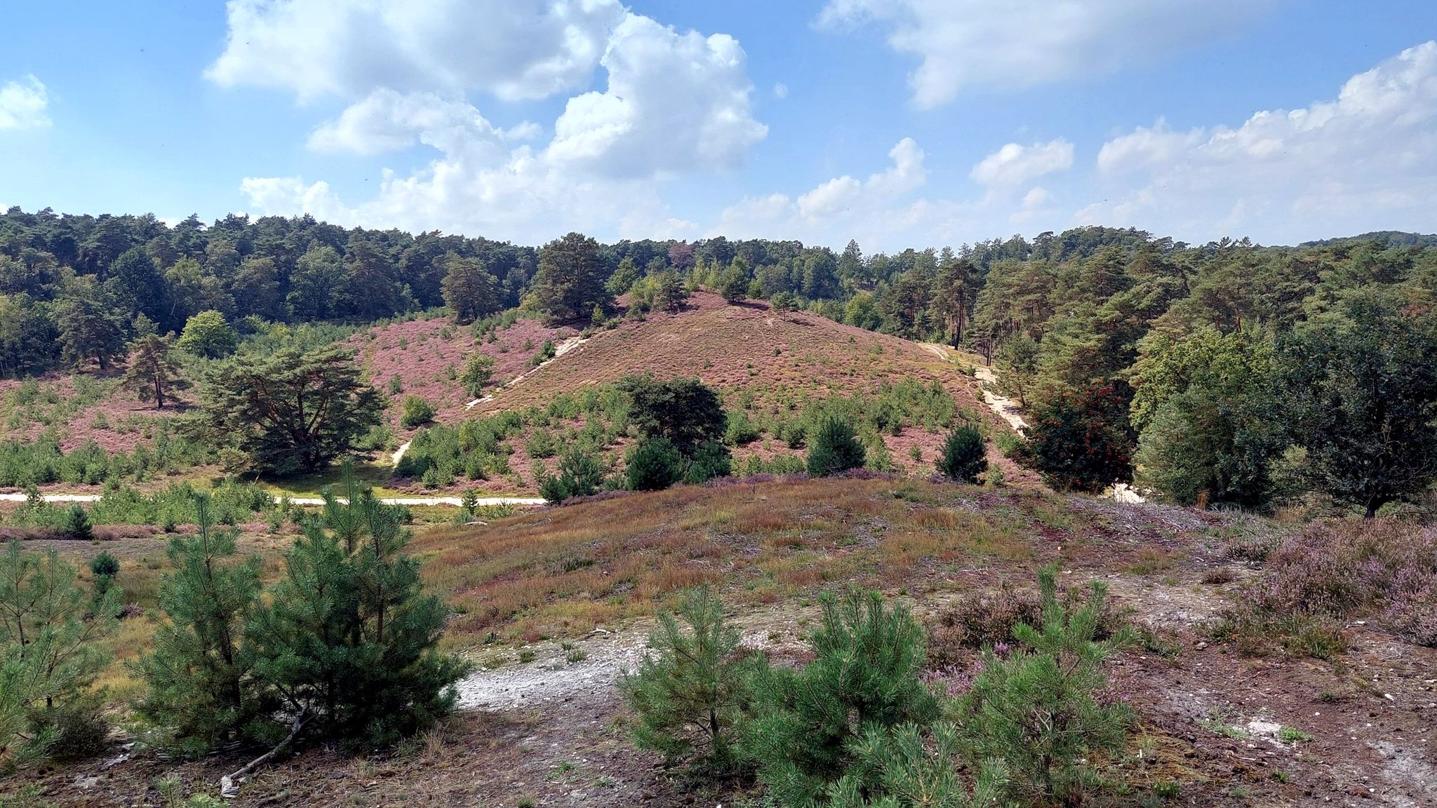 Brunssummerheide • Landschaftsimpression