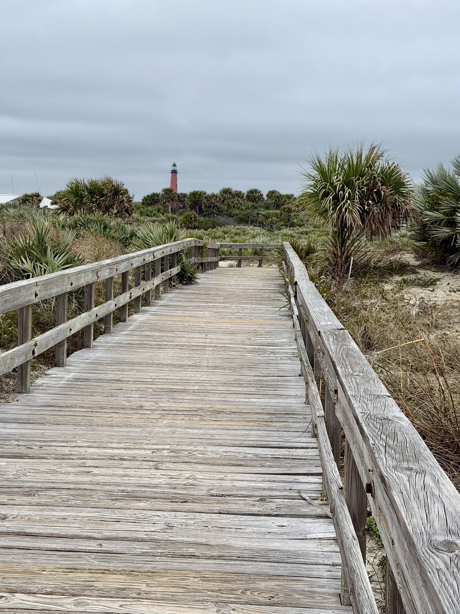 Wooden boardwalk through coastal vegetation leads to a distant lighthouse, overcast. - Ponce Inlet Trail Loop