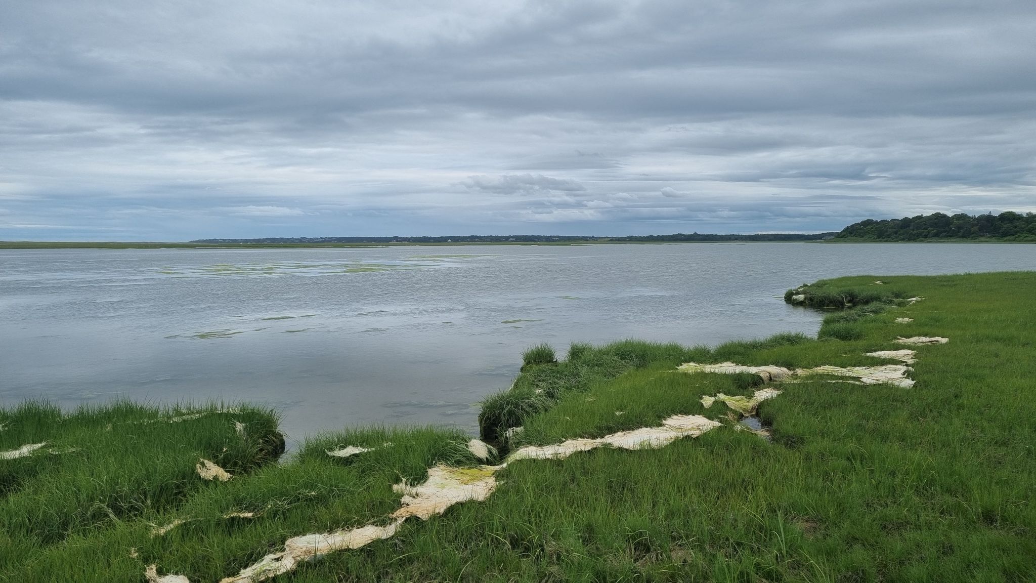 Wide body of water with grassy shoreline under a cloudy sky. - Nauset Bicycle Trail – Nauset Marsh loop from Cape Cod National Seashore