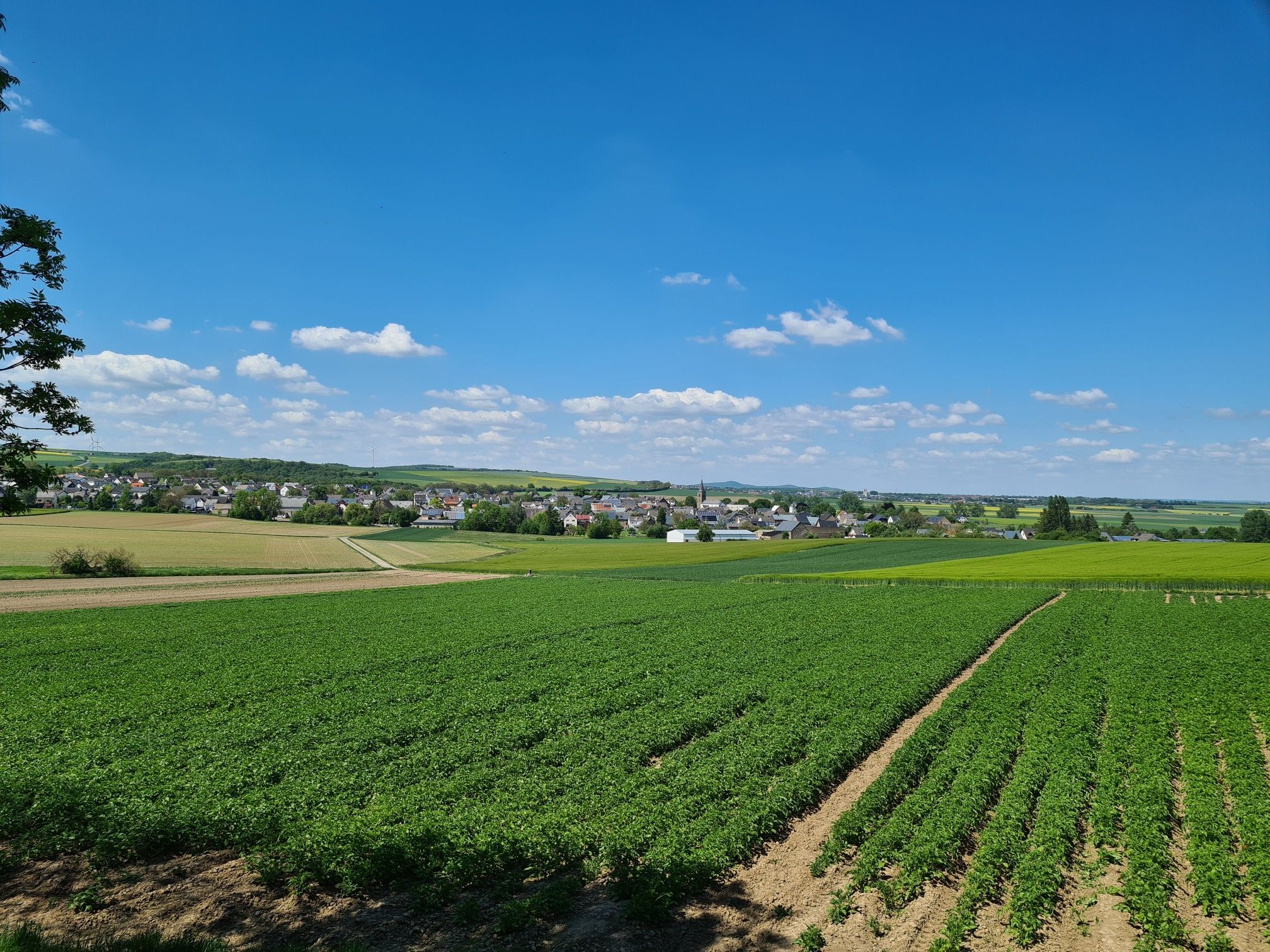 Aussicht auf Mertloch
