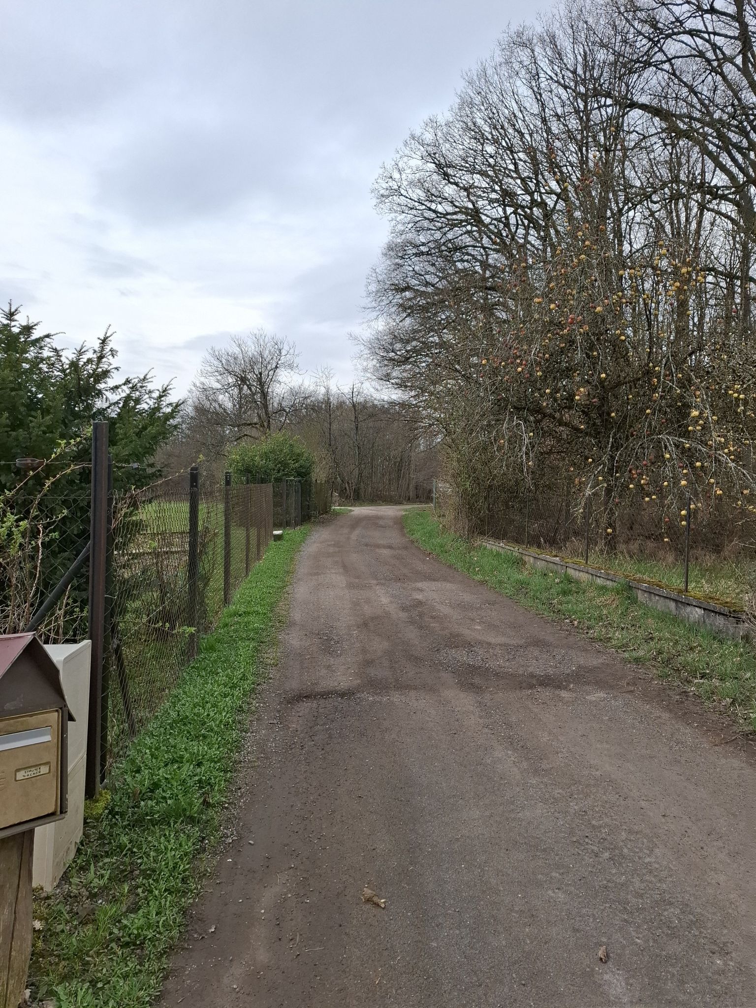 rue Haute vers Frumberg