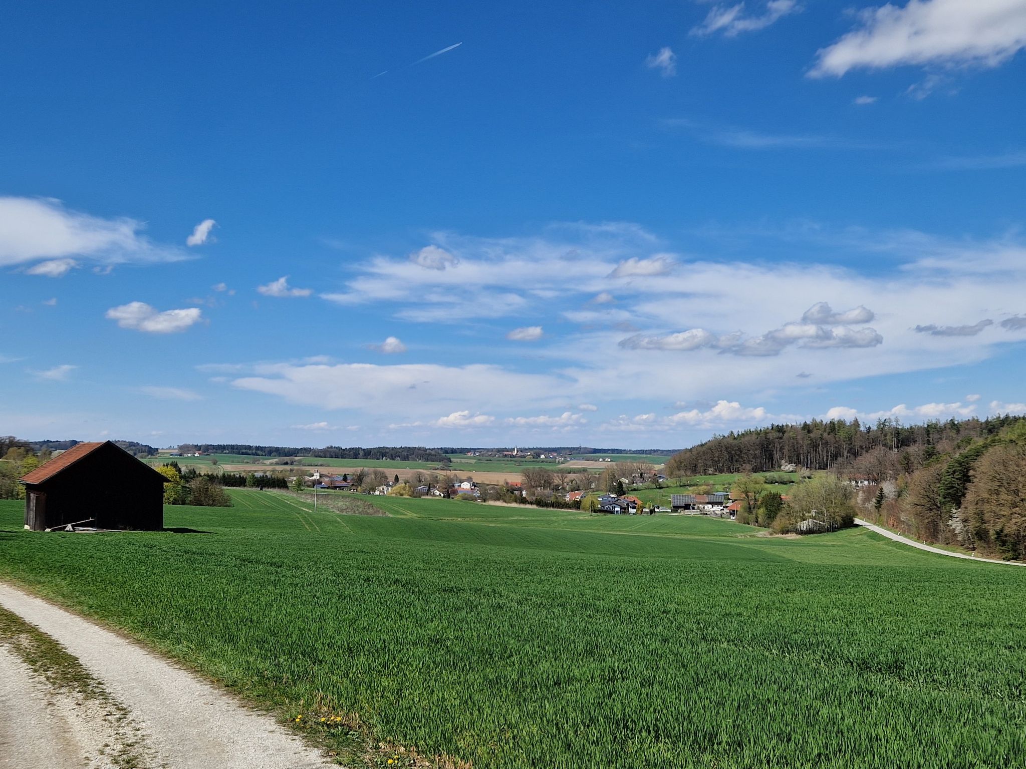 mühlhausn und hagenau