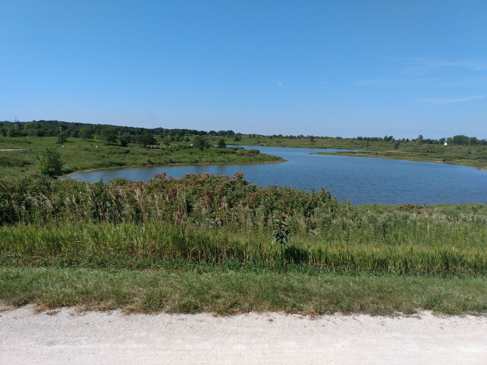 A calm lake surrounded by green grass and trees under a clear blue sky. - Herrick Lake Regional Trail