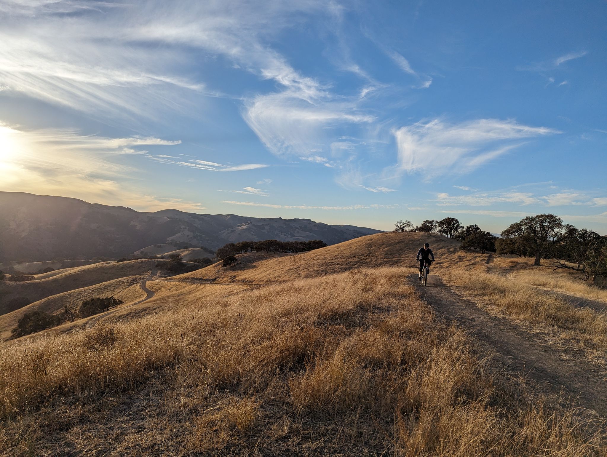 A person mountain biking on a dirt path through golden hills at sunset. - Ridgeline Trail – Badger Cove loop from Del Valle Regional Park