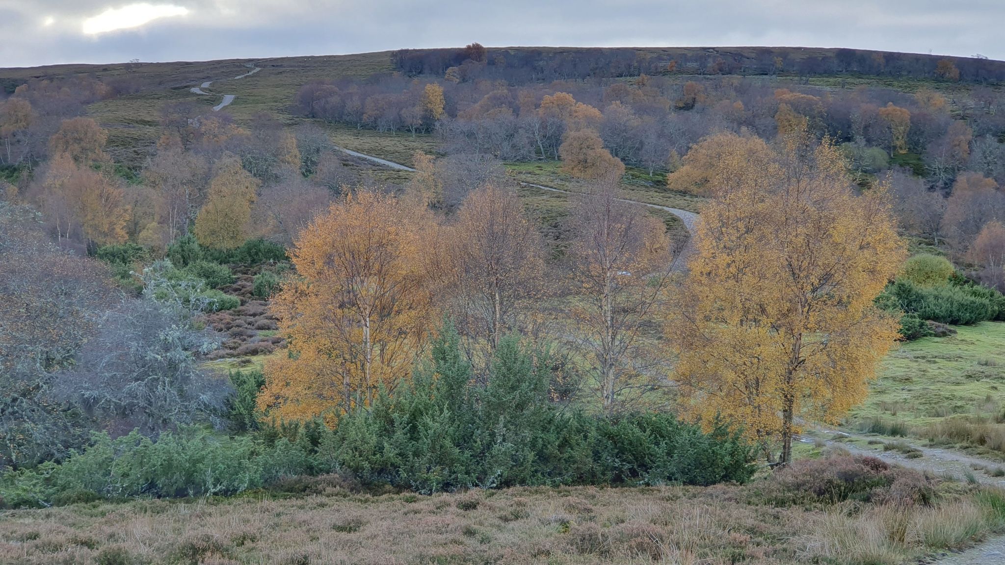 The steep and windy road up