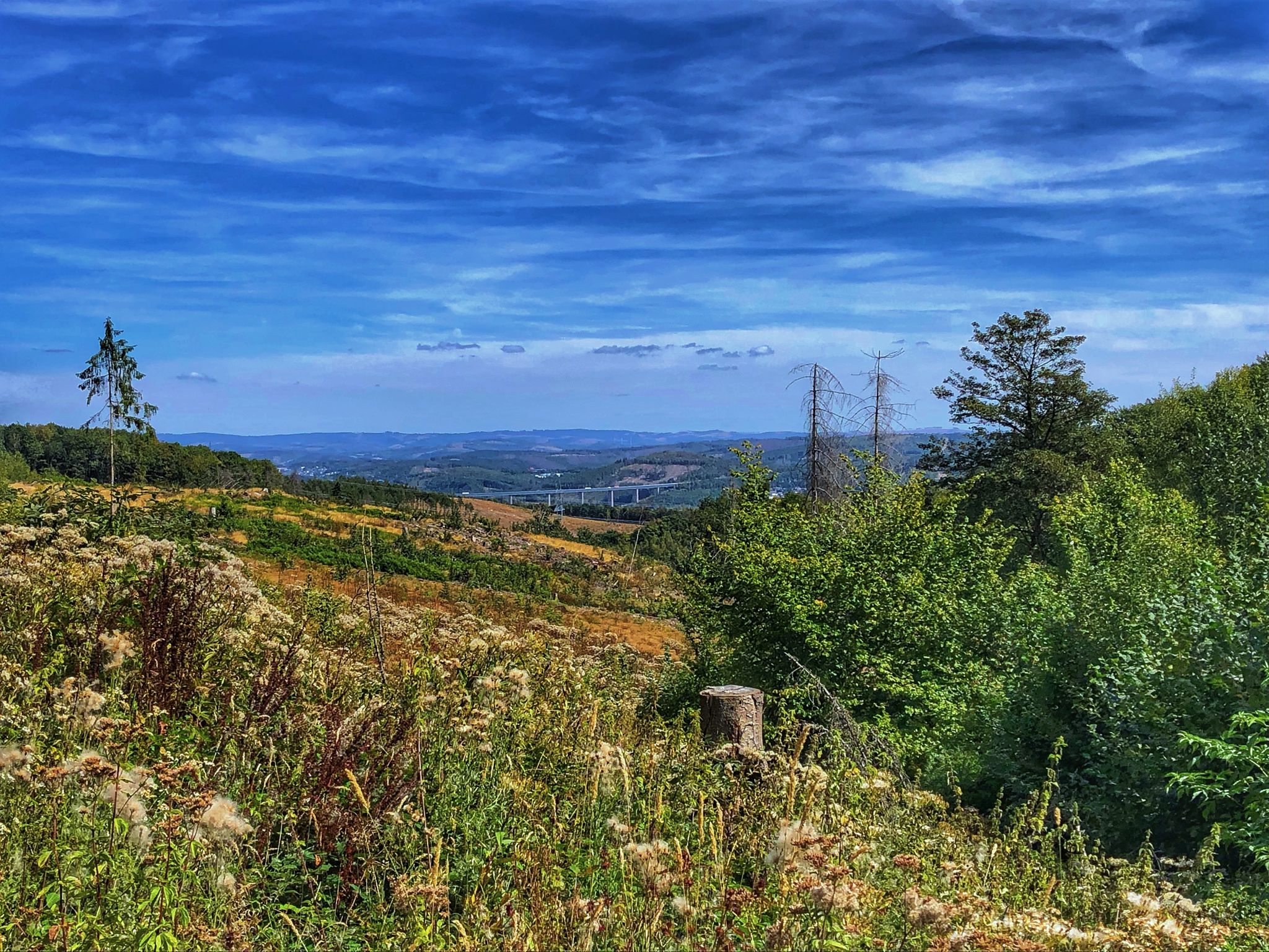 Ausblick im Anstieg zum Giebelberg