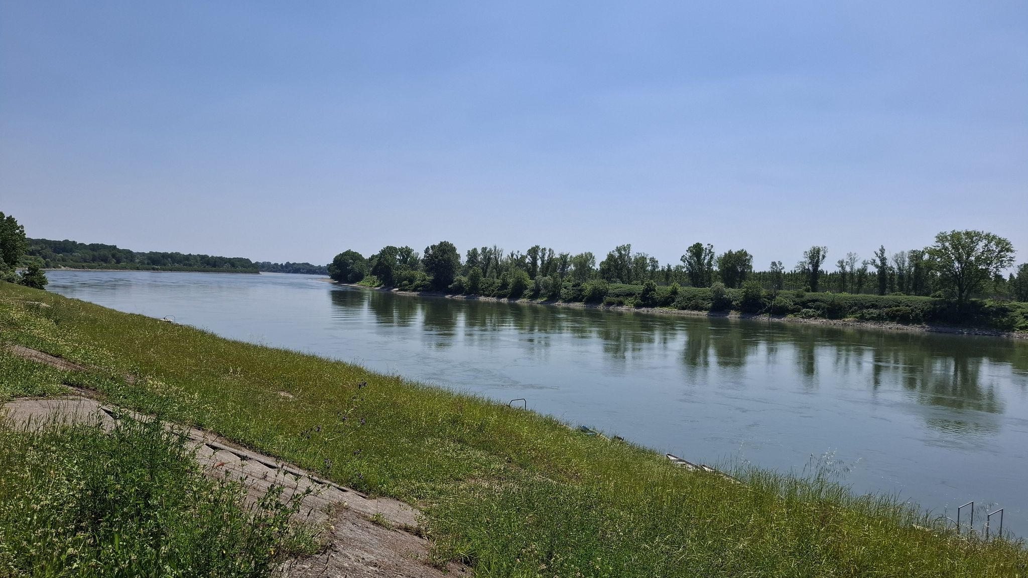 Cremona: il Po dopo le canottieri.