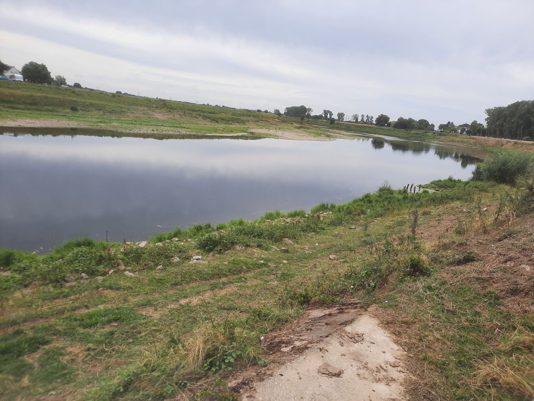 Niedrigwasser in der Maas