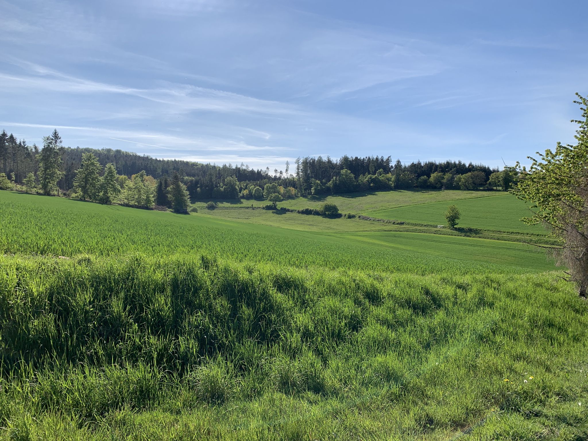 Tal bei Gehau