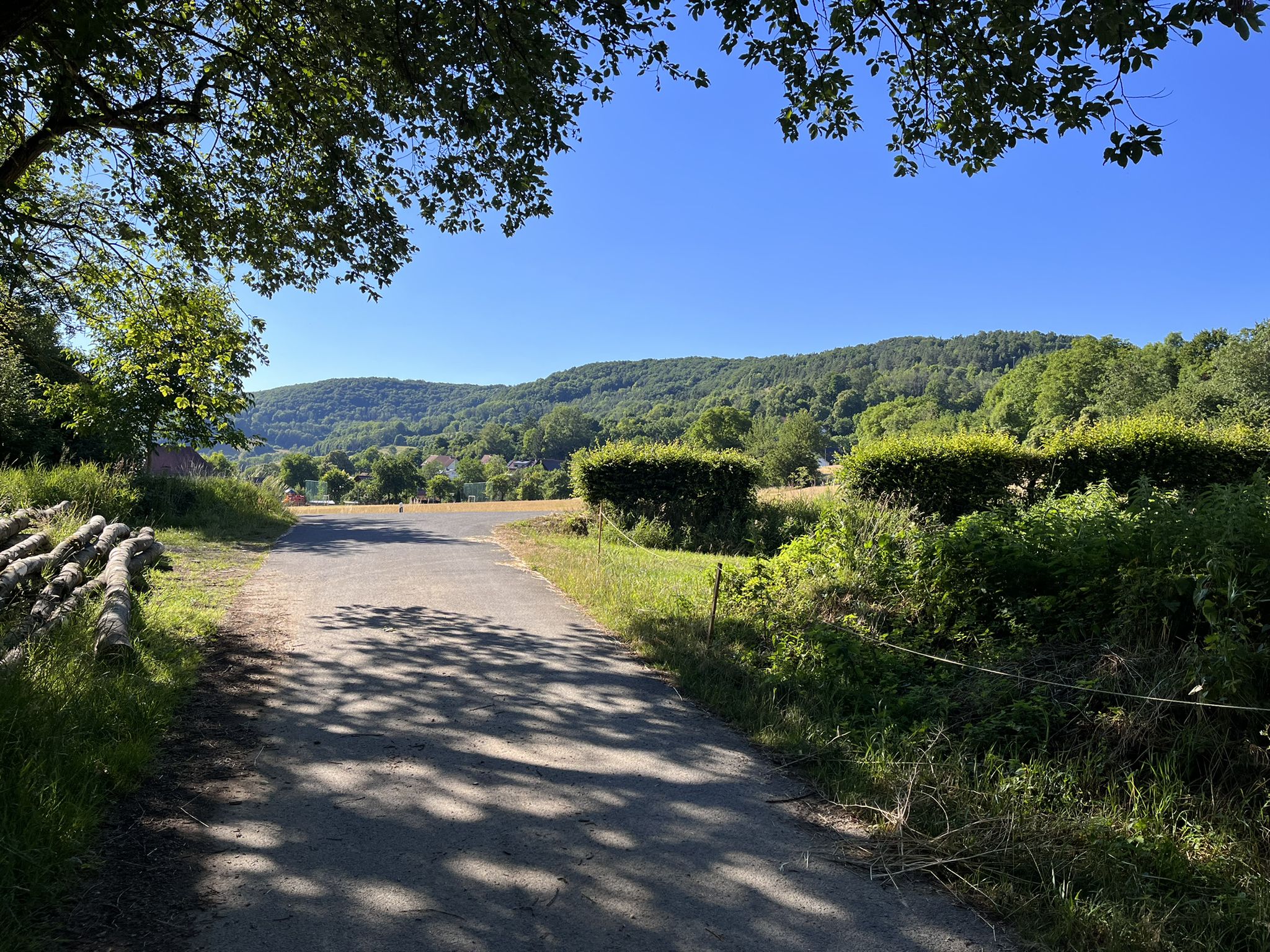 mal eben durch die Herzogenreuther Schlucht gebrettert 🫣