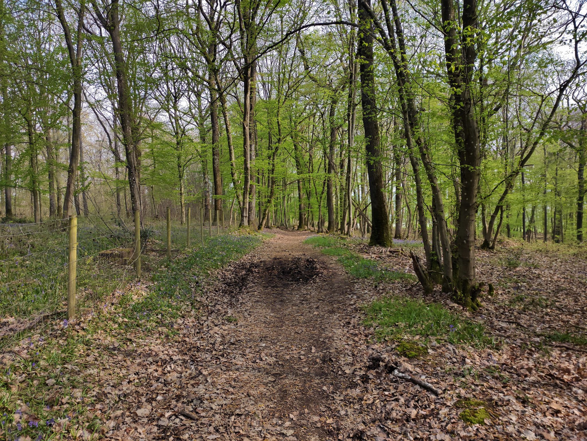 Descente vers la ferme du clos