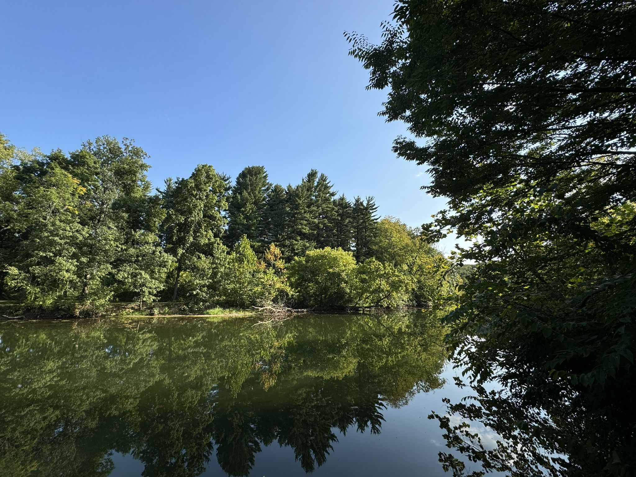 Calm water reflecting a dense green forest under a clear blue sky. - Union Canal Trail