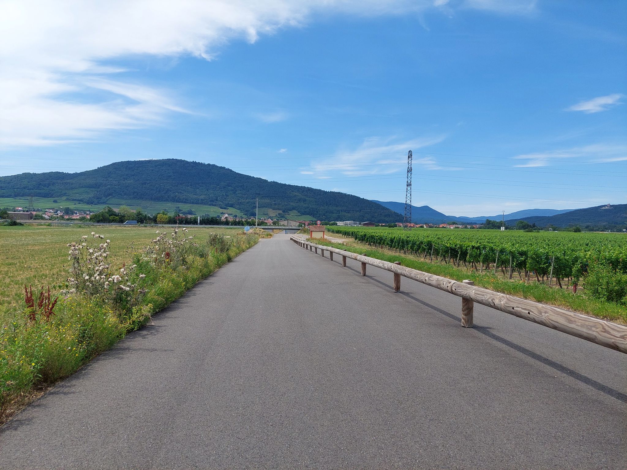 Vieux Chemin de Châtenois, von Sélestat kommend