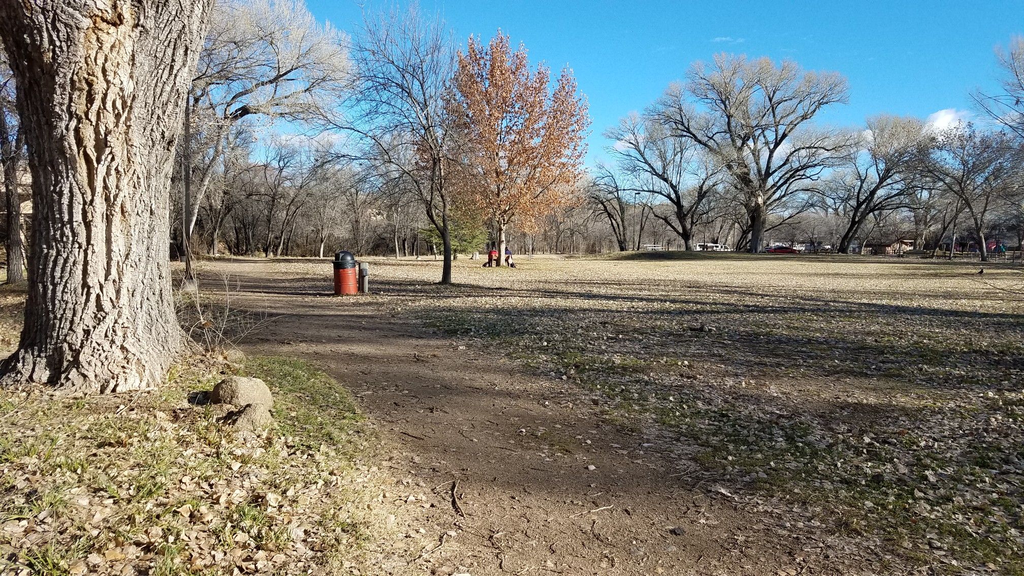 A dirt path leads into a sunny, open park with large trees. - Montezuma Promenade
