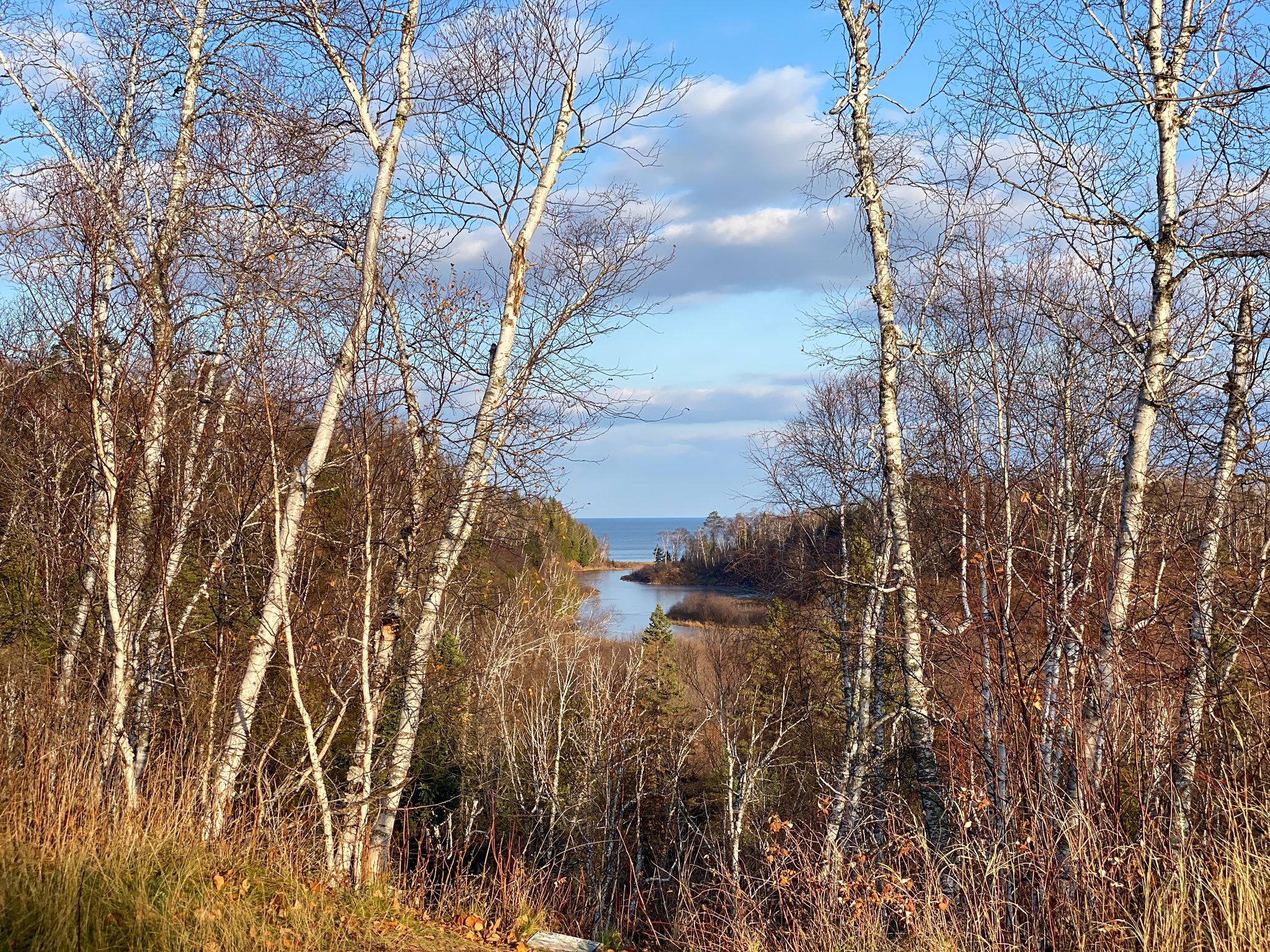 Bare trees frame a bright blue lake under a partly cloudy sky. - Gooseberry Falls – Upper Falls loop from Gooseberry Falls State Park