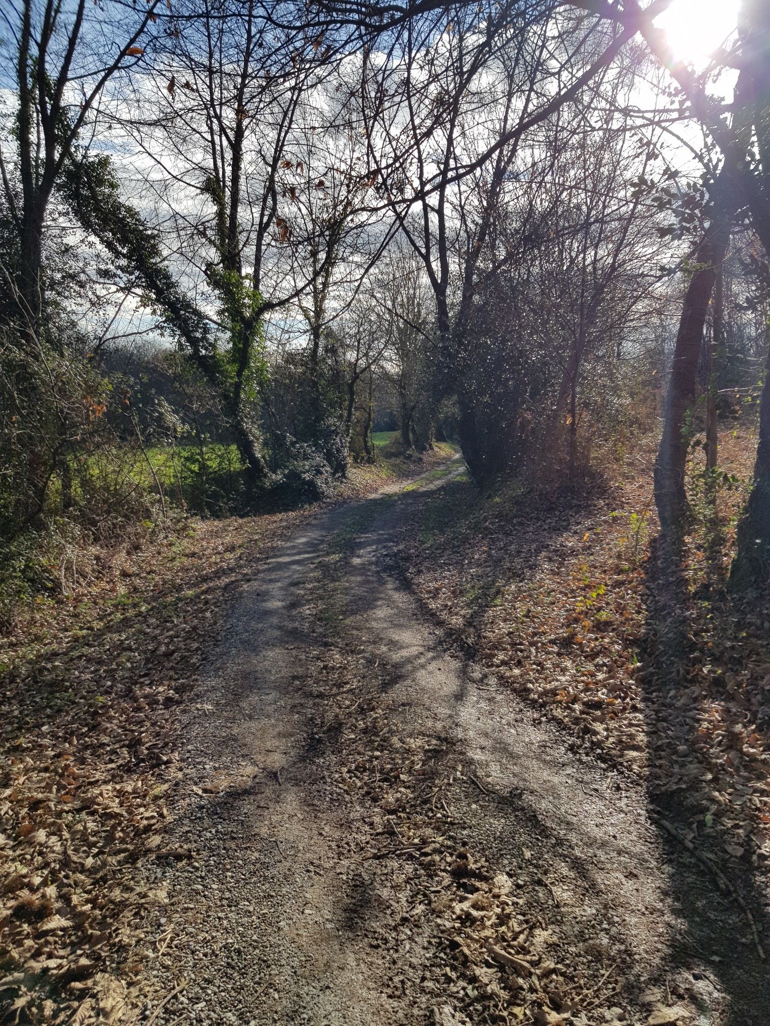 Une bonne partie en sous-bois...
